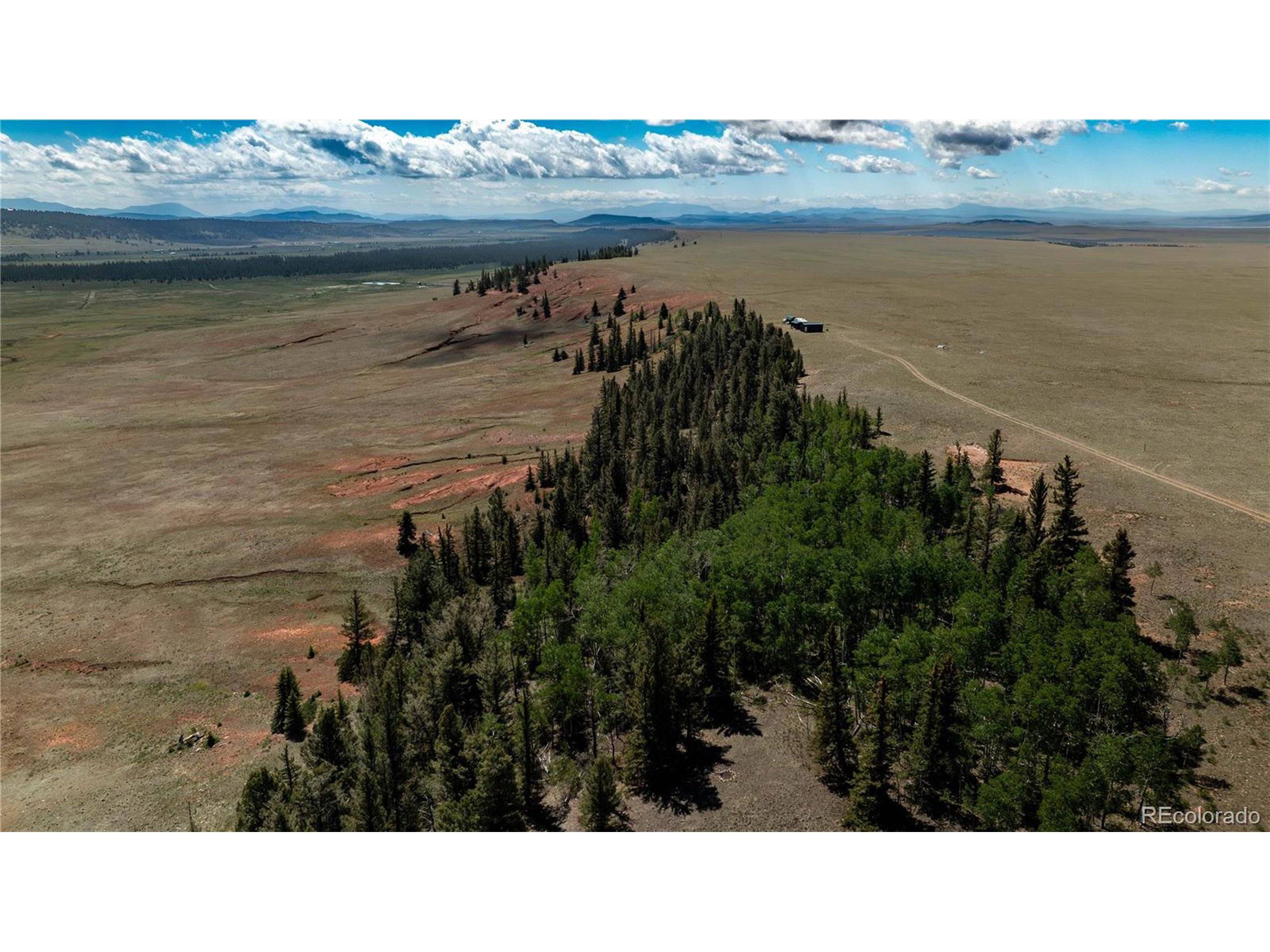 Fairplay, CO 80440,4319 Meier Ridge Trl