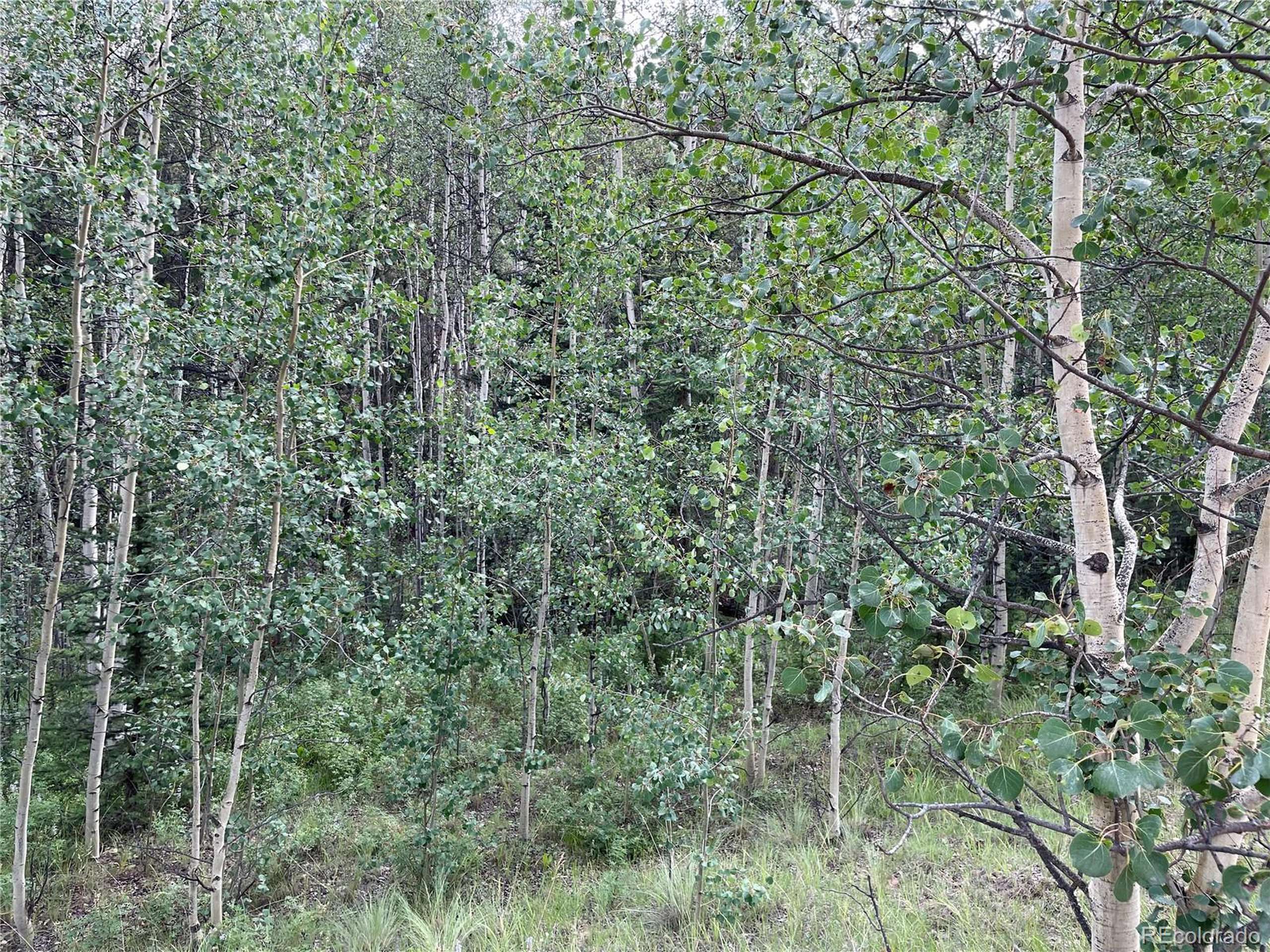 Como, CO 80432,6325 Remington Rd
