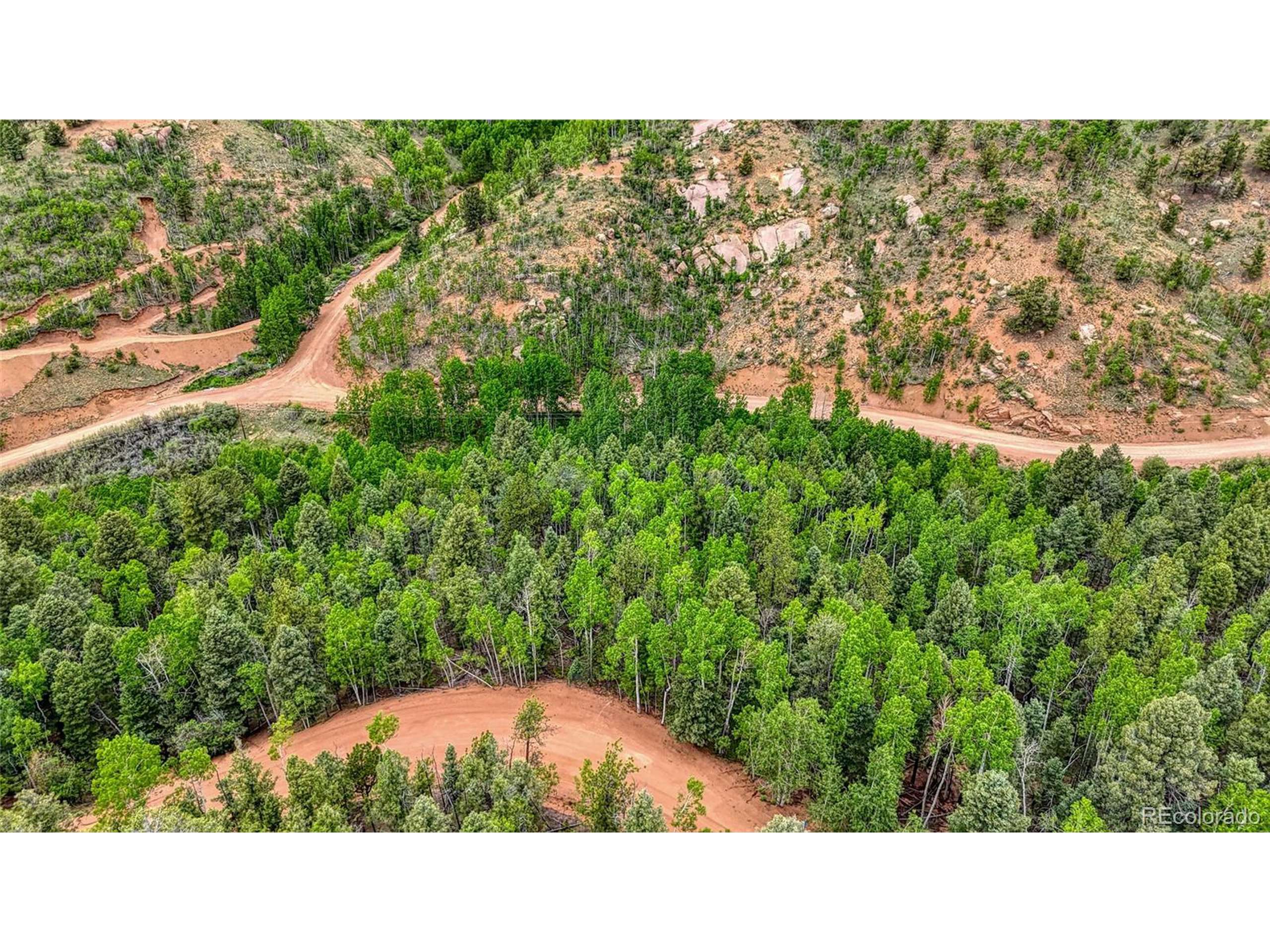 Cripple Creek, CO 80813,1034 Little Topsey Dr