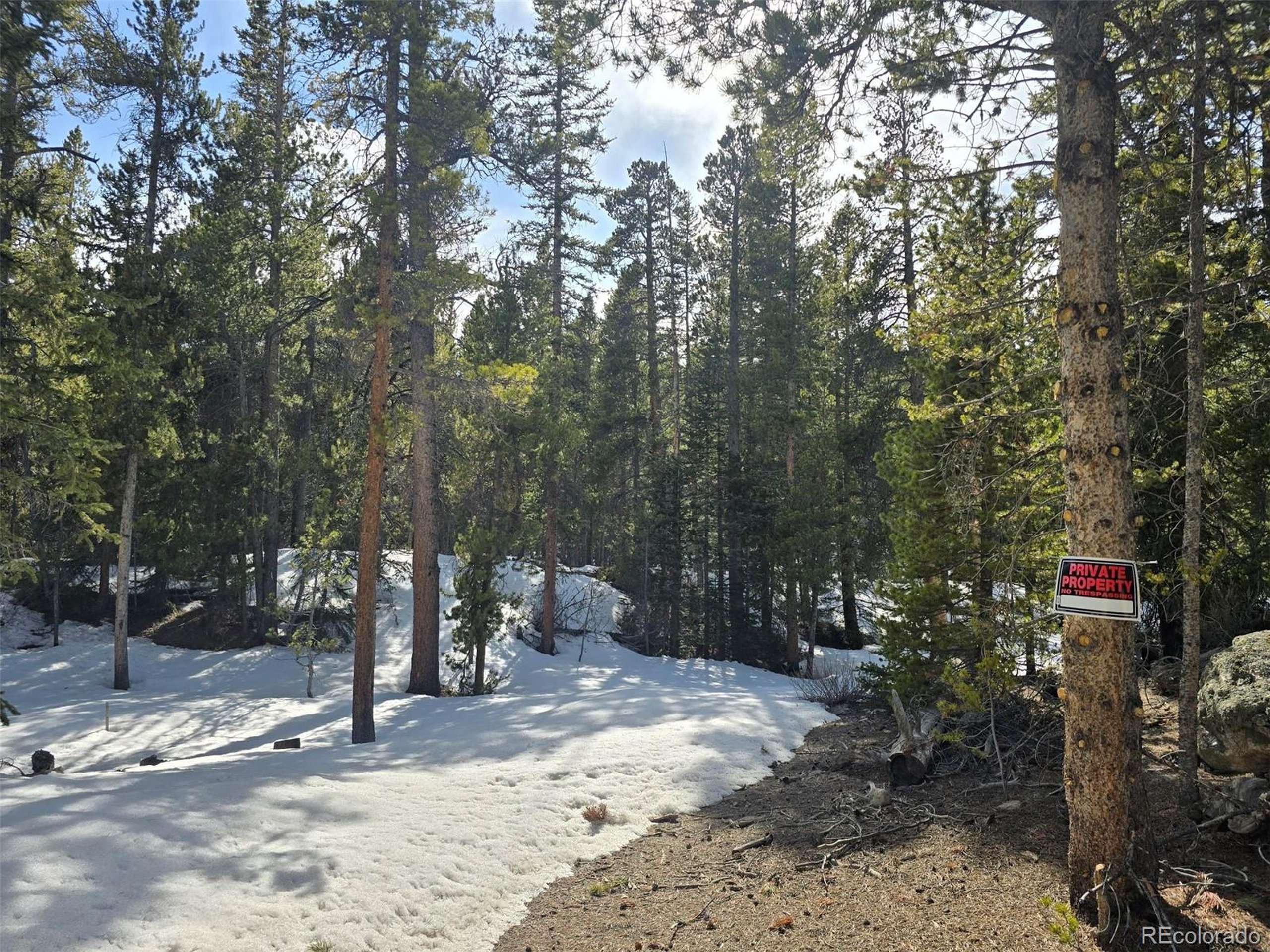 Alma, CO 80420,2221 Kootchie Kootchie Rd