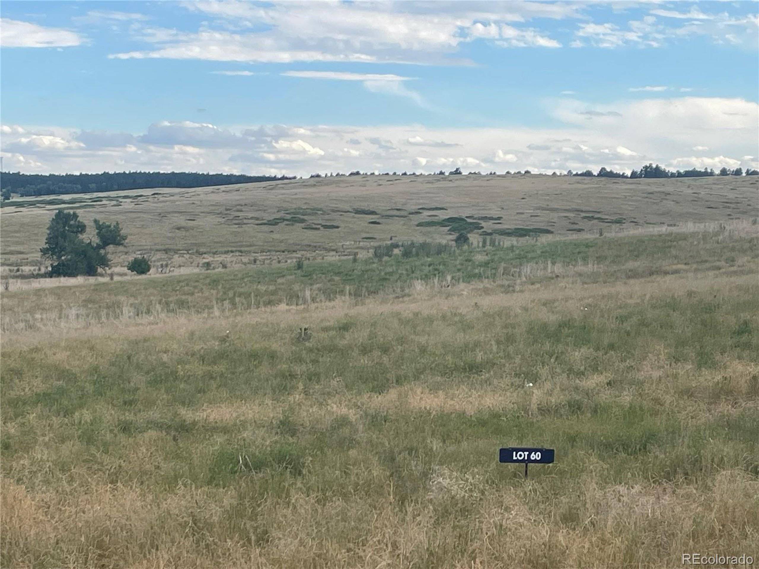 Kiowa, CO 80117,0 Wendling Lot 60 Trl