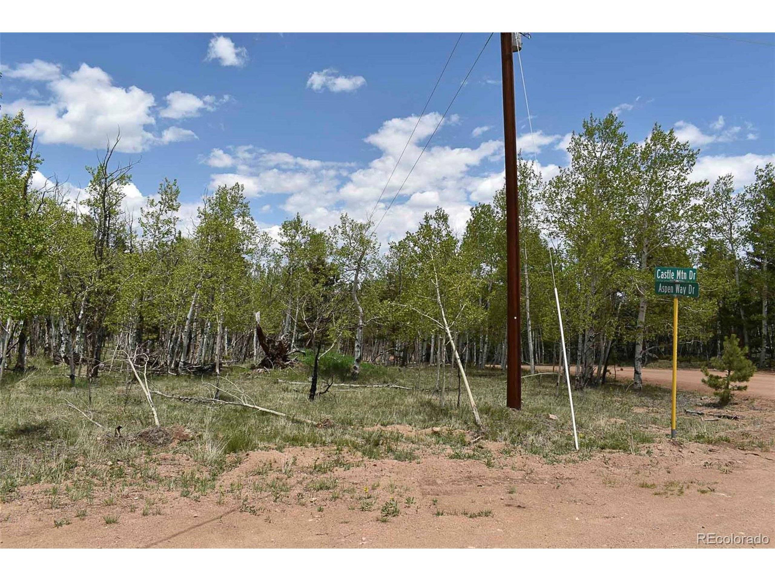 Guffey, CO 80820,55 Aspen Way Dr