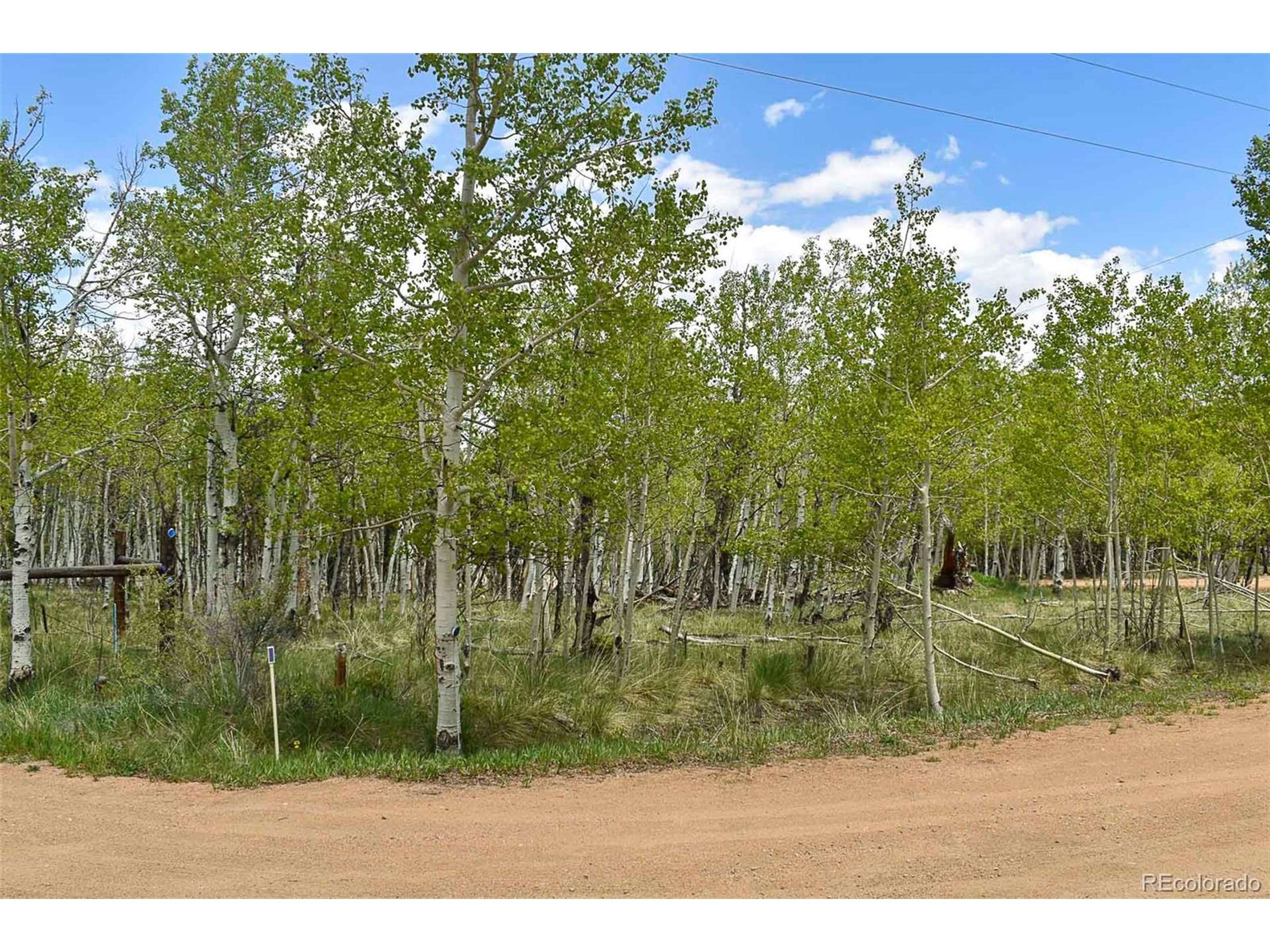 Guffey, CO 80820,55 Aspen Way Dr