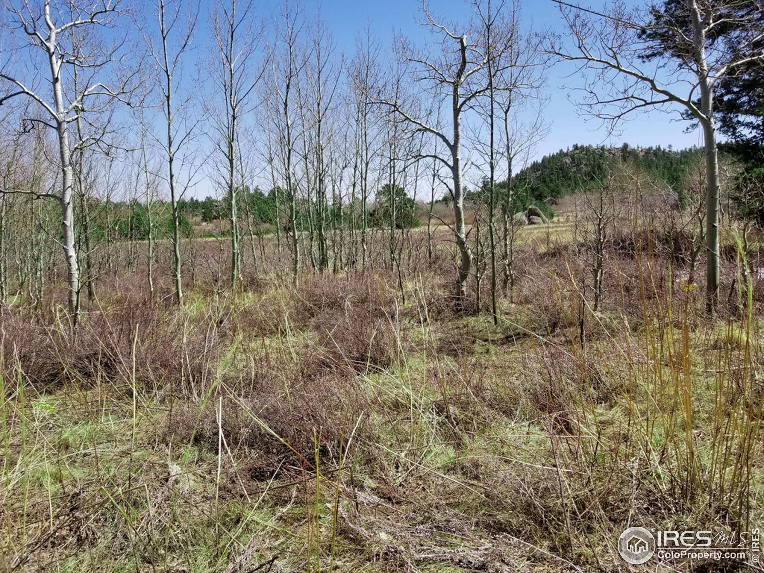 Red Feather Lakes, CO 80545,0 Yampa Ln
