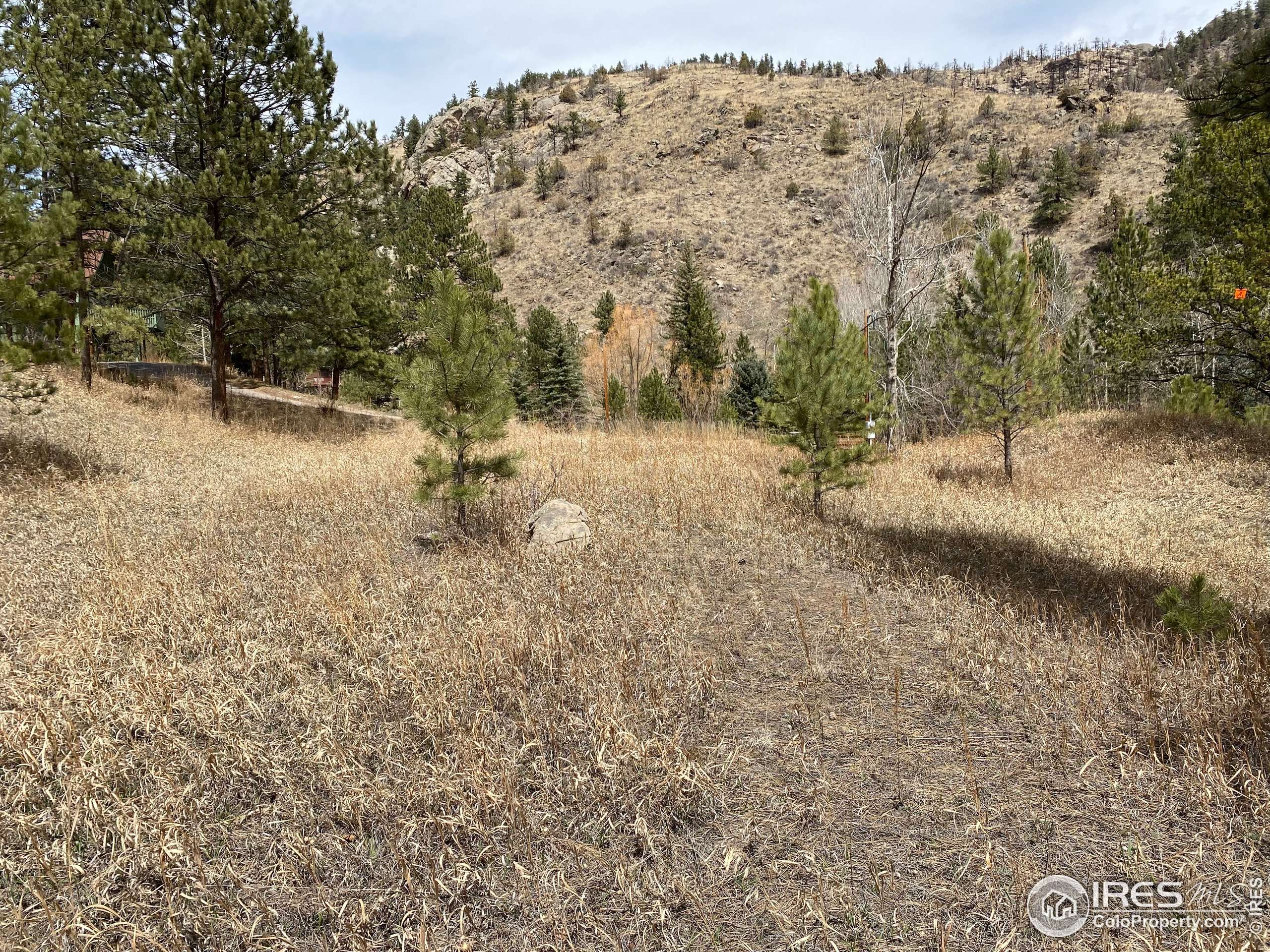 Glen Haven, CO 80532,211 Streamside Dr