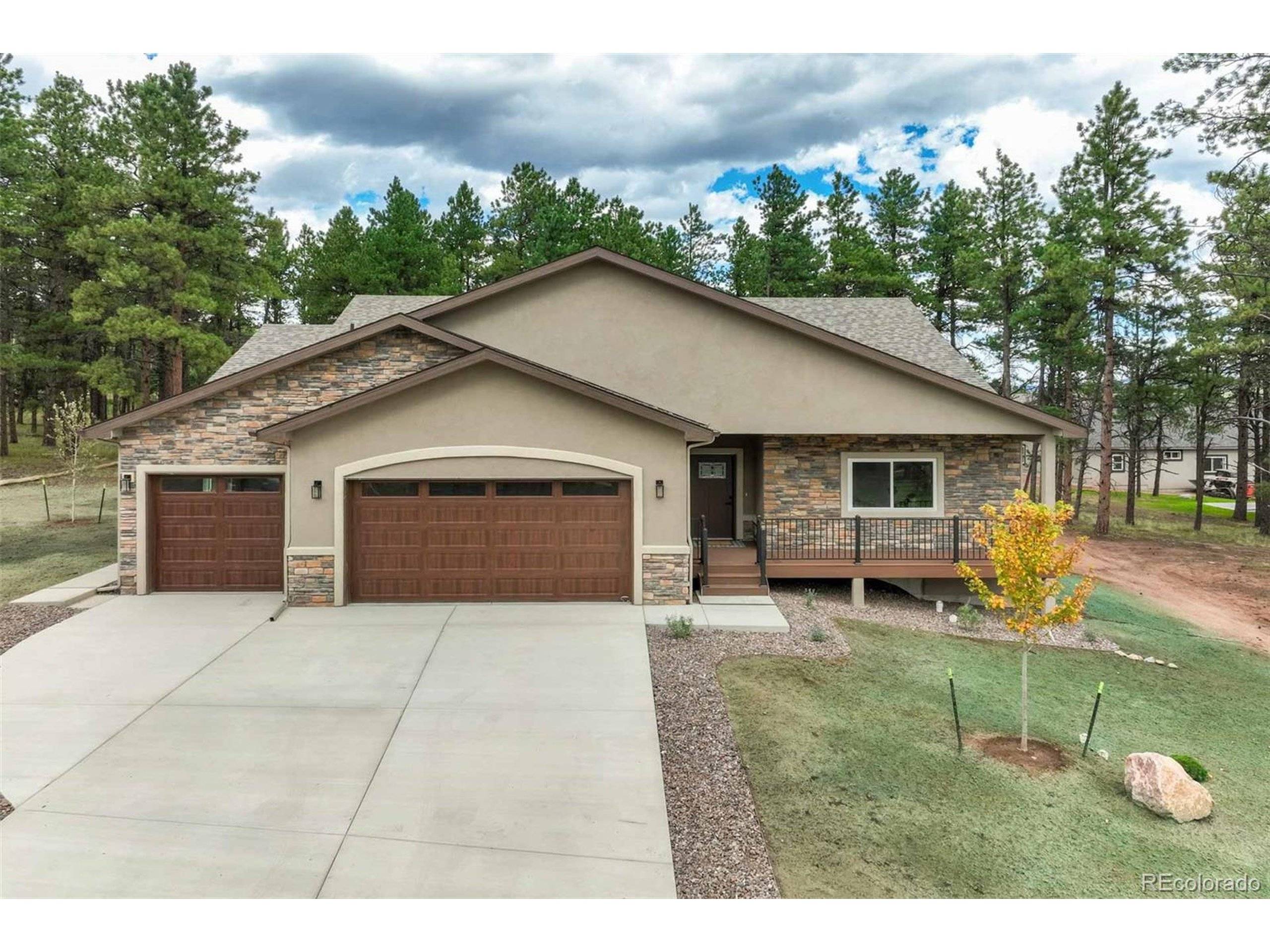 Woodland Park, CO 80863,1294 Firestone Dr