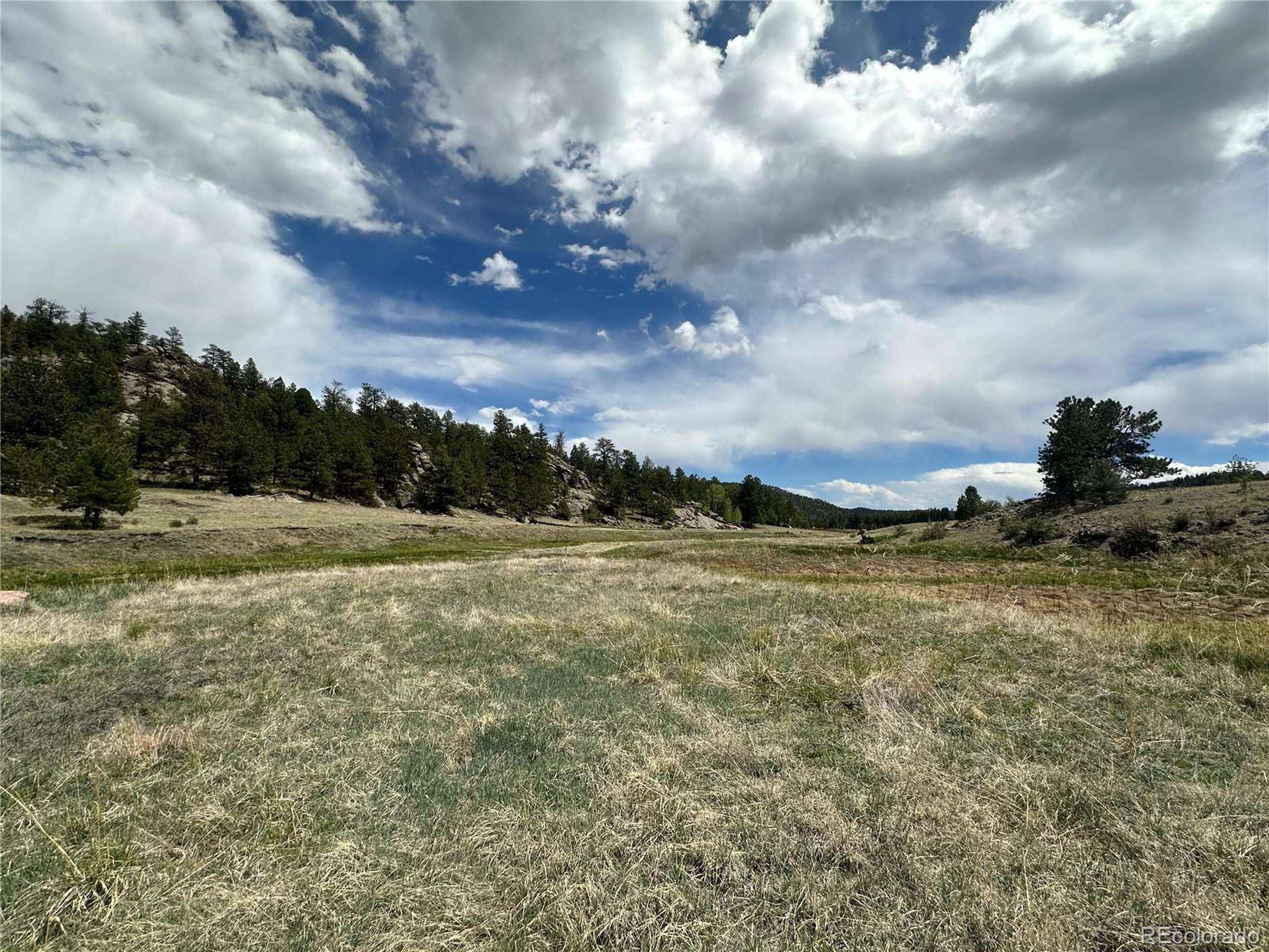 Florissant, CO 80816,2332 County