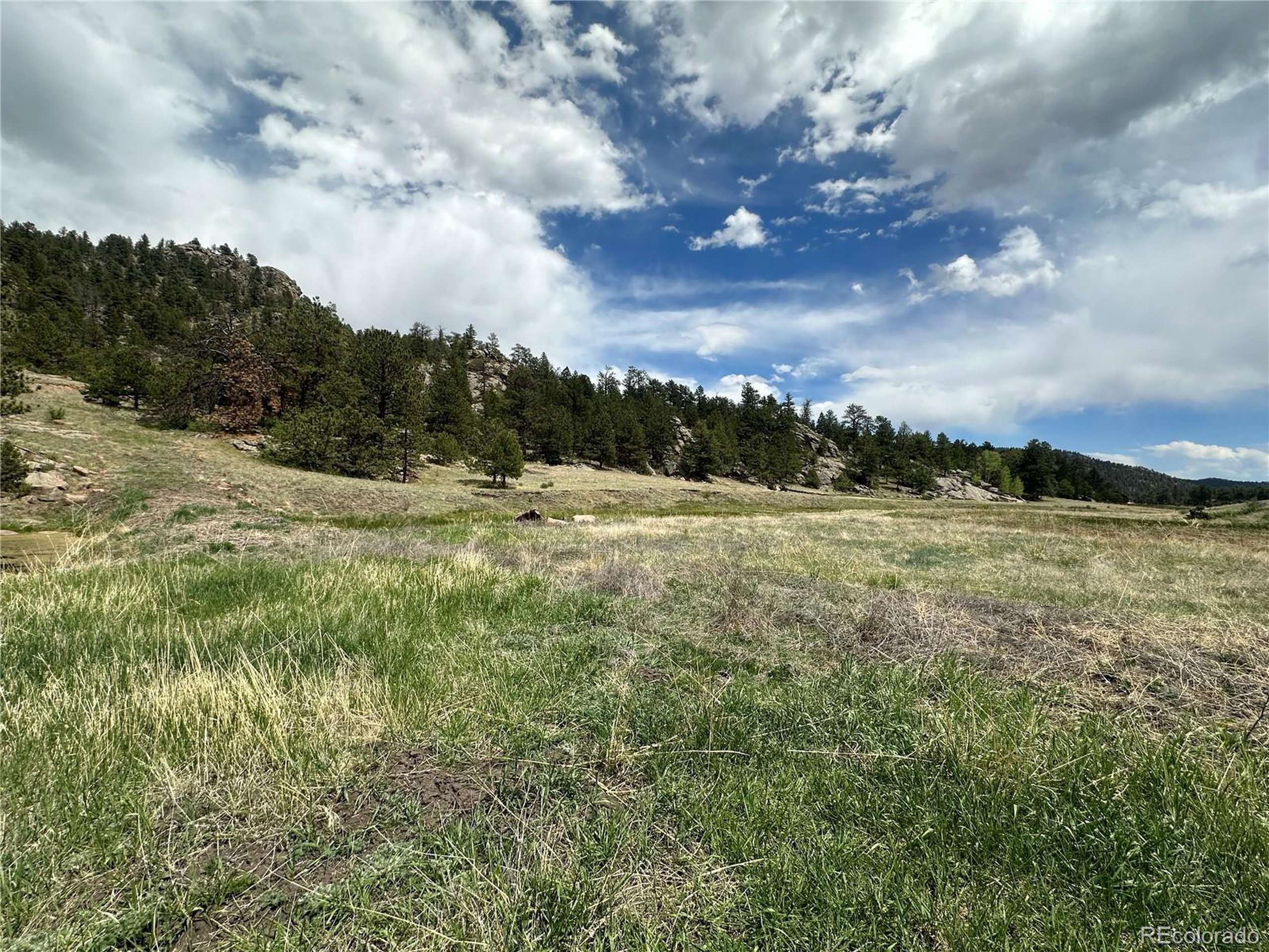 Florissant, CO 80816,2332 County