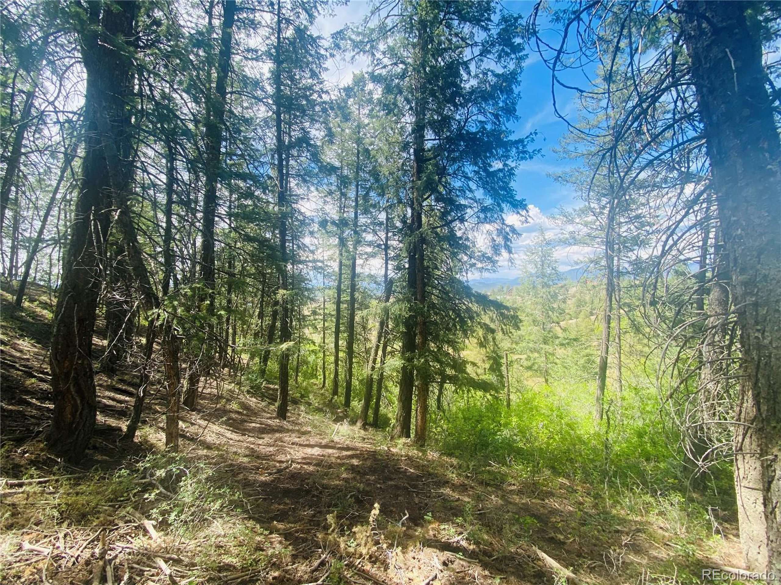 Pagosa Springs, CO 81147,251 Rifle Pl