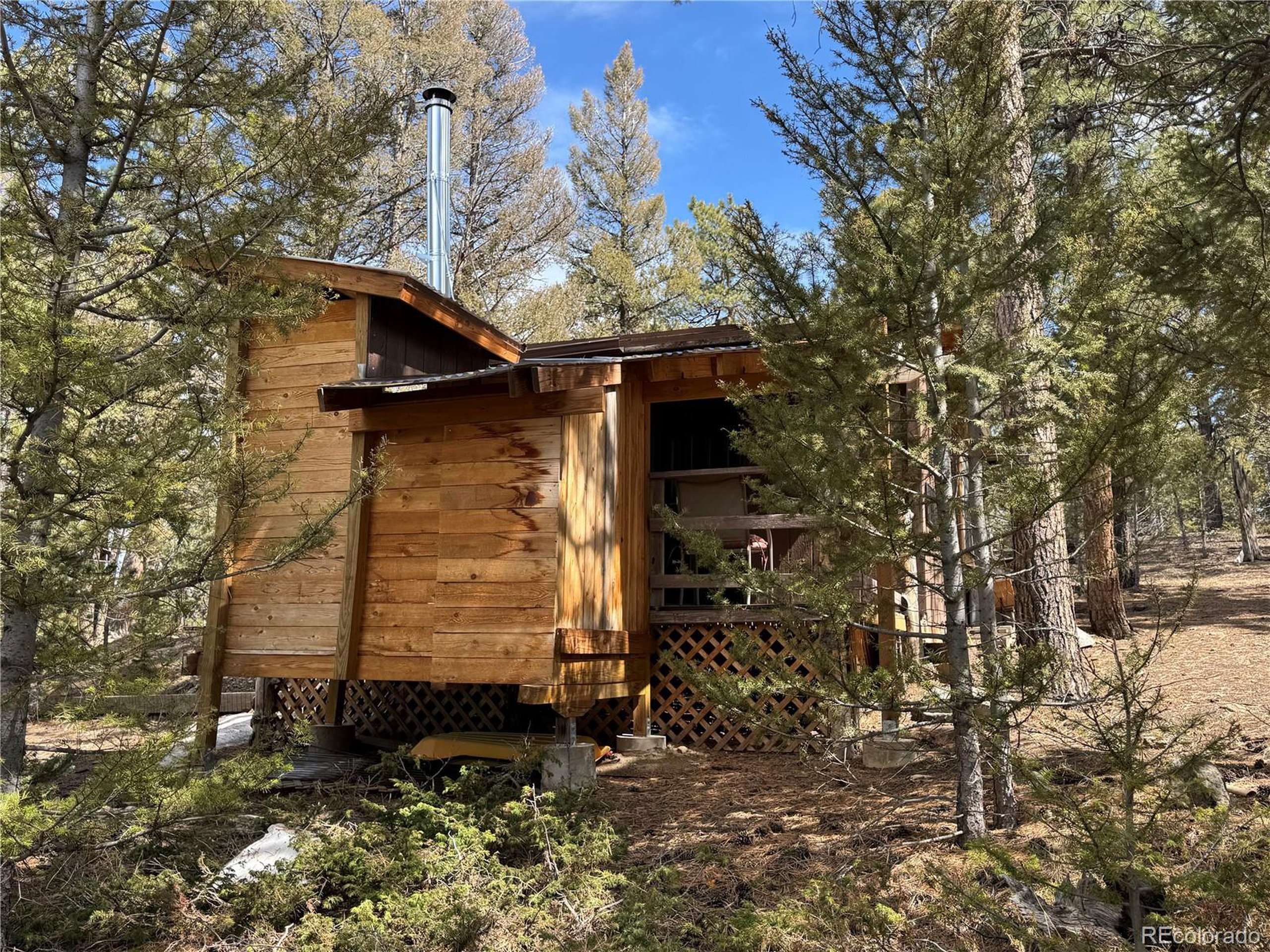 Hartsel, CO 80449,1666 Singletree Rd