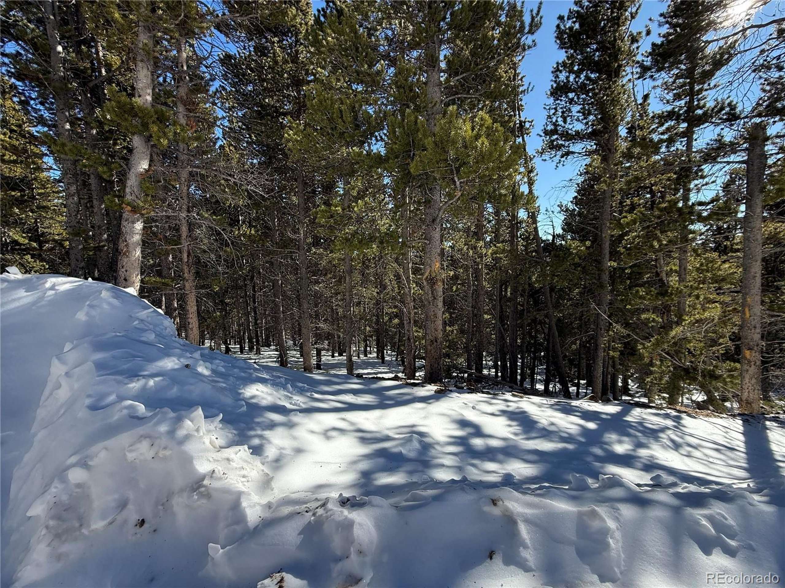 Idaho Springs, CO 80452,846 Lincoln Dr