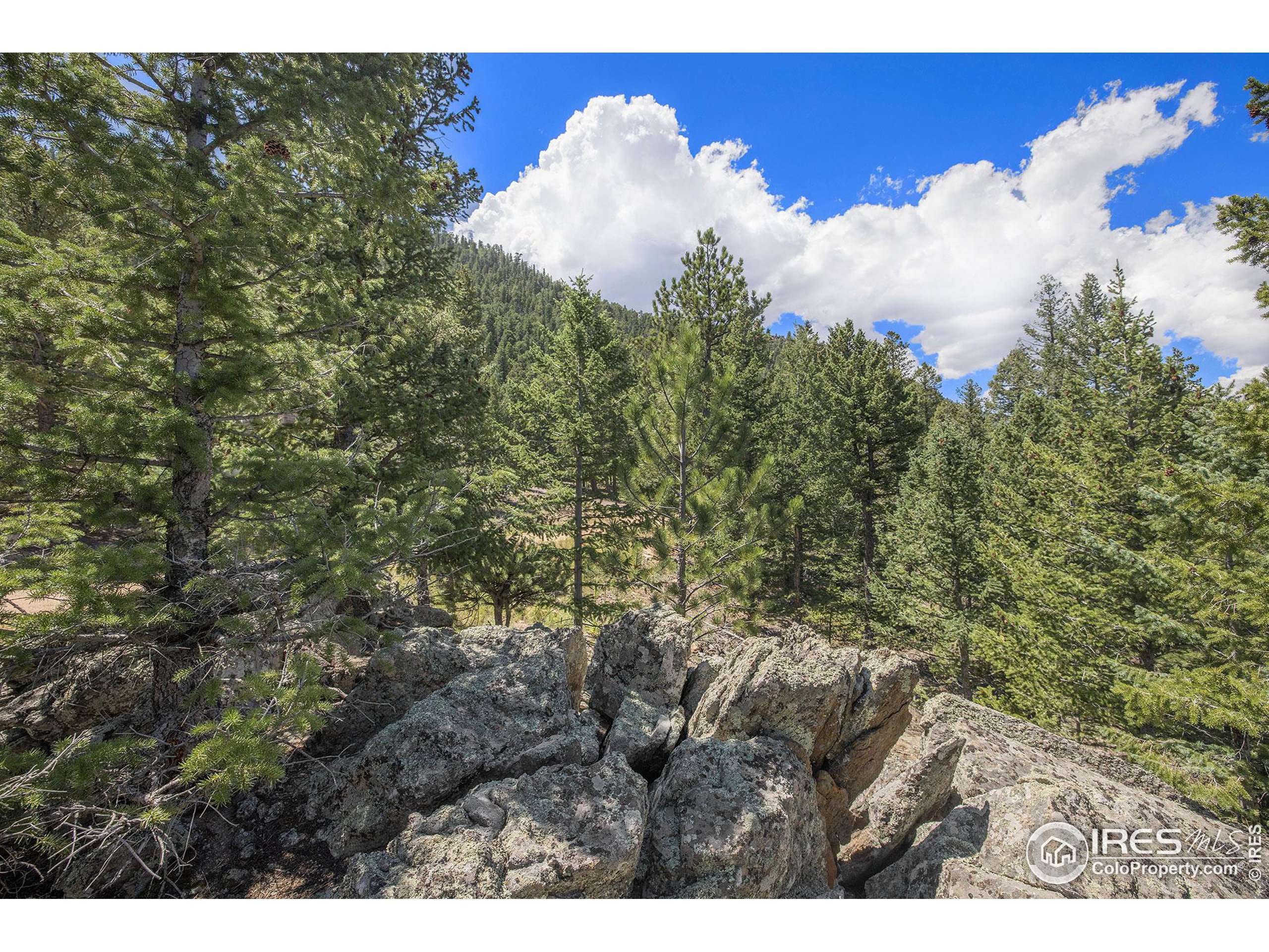 Estes Park, CO 80517,3801 Dollar Lake Dr