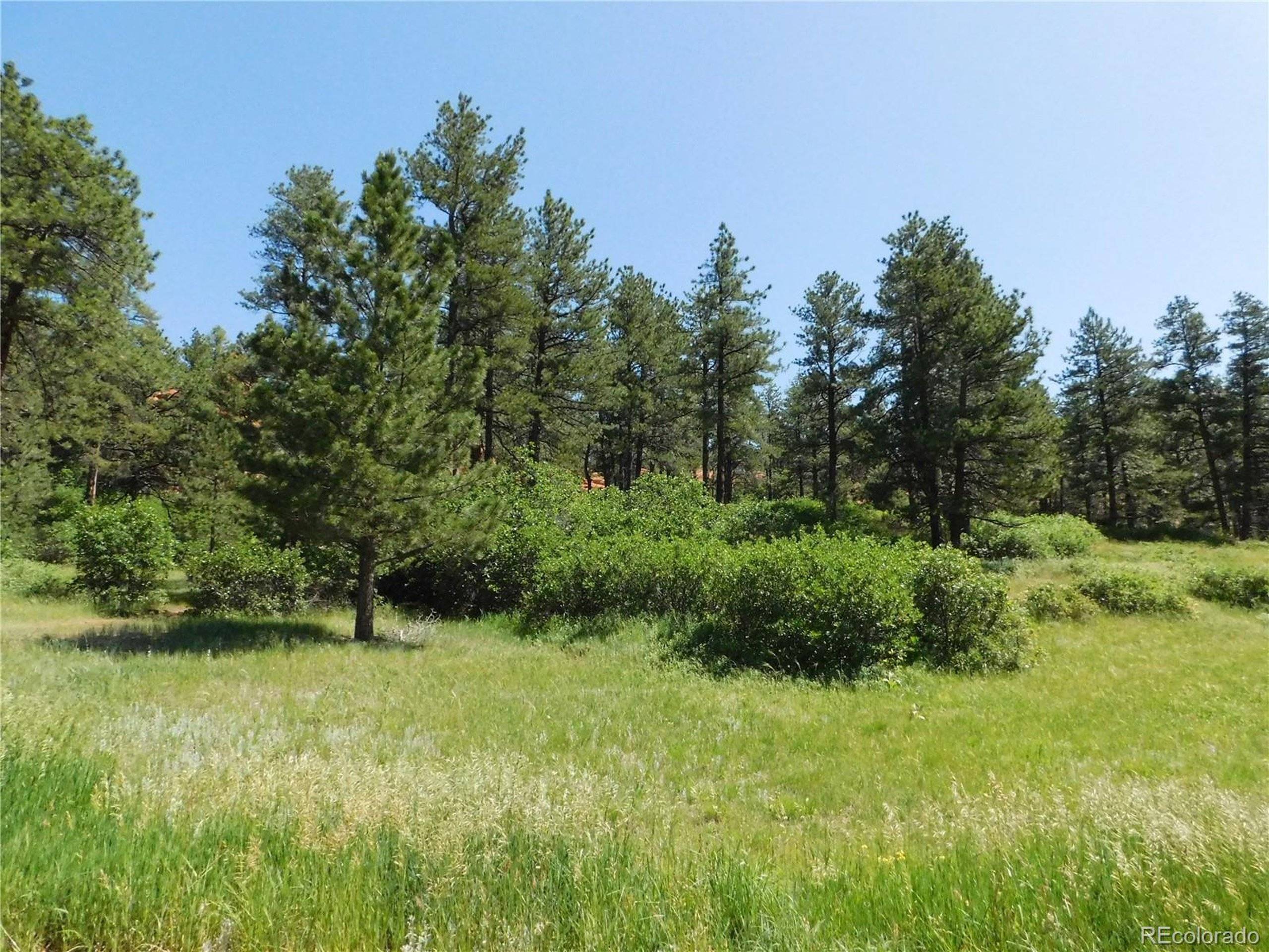 Larkspur, CO 80118,8208 Bannock Dr