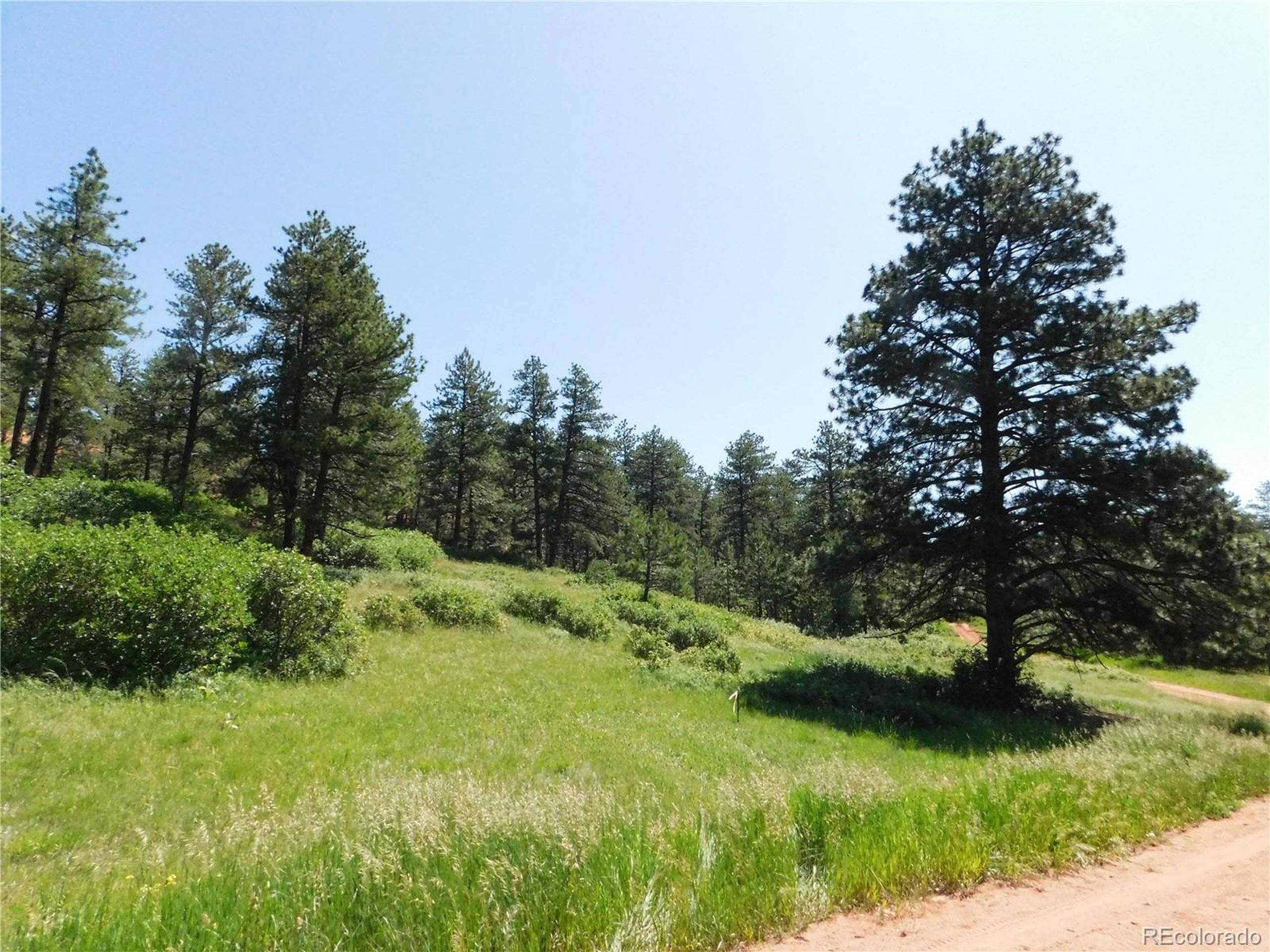 Larkspur, CO 80118,8208 Bannock Dr