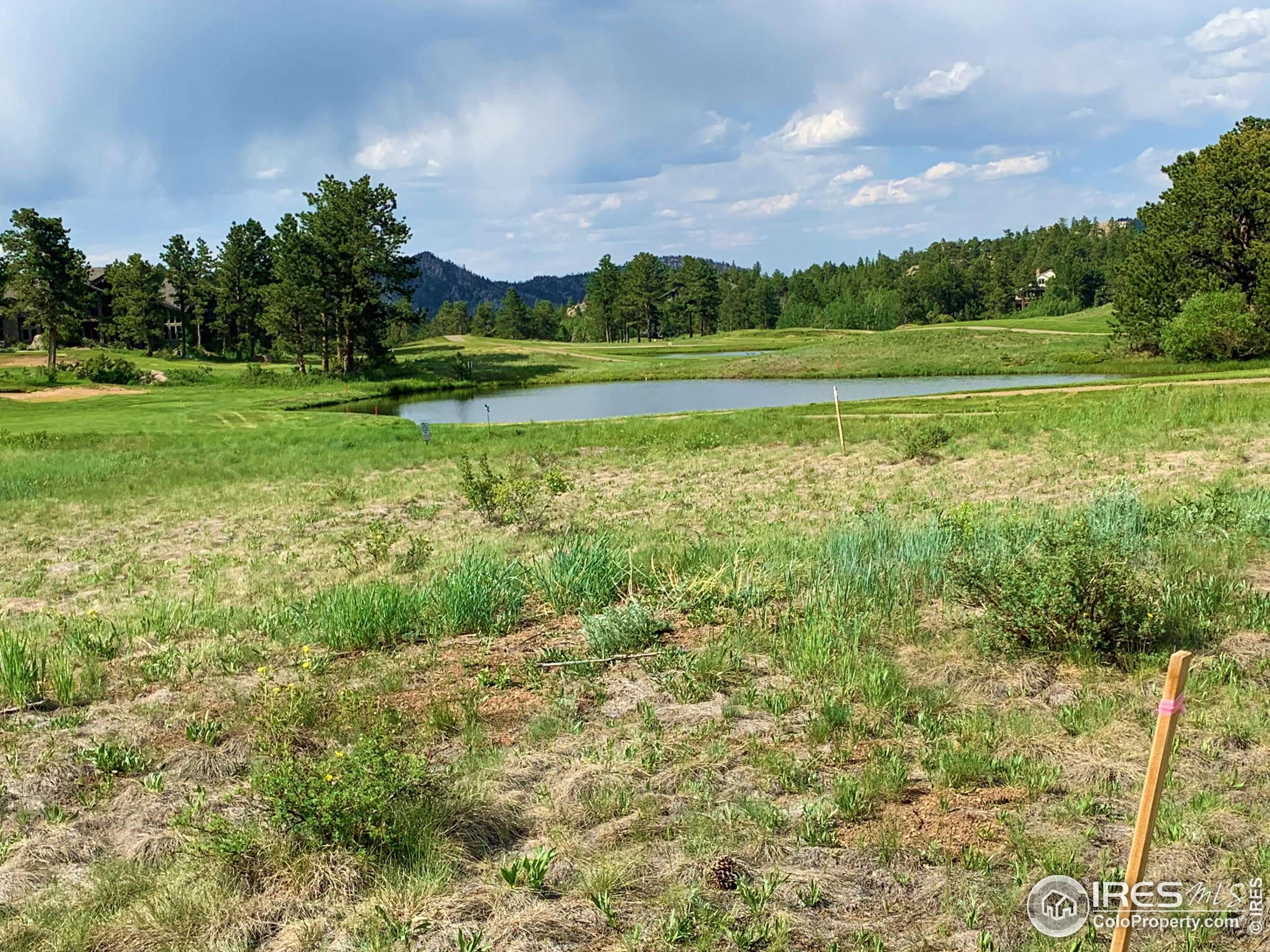 Red Feather Lakes, CO 80545,4 Fox Meadow Ln