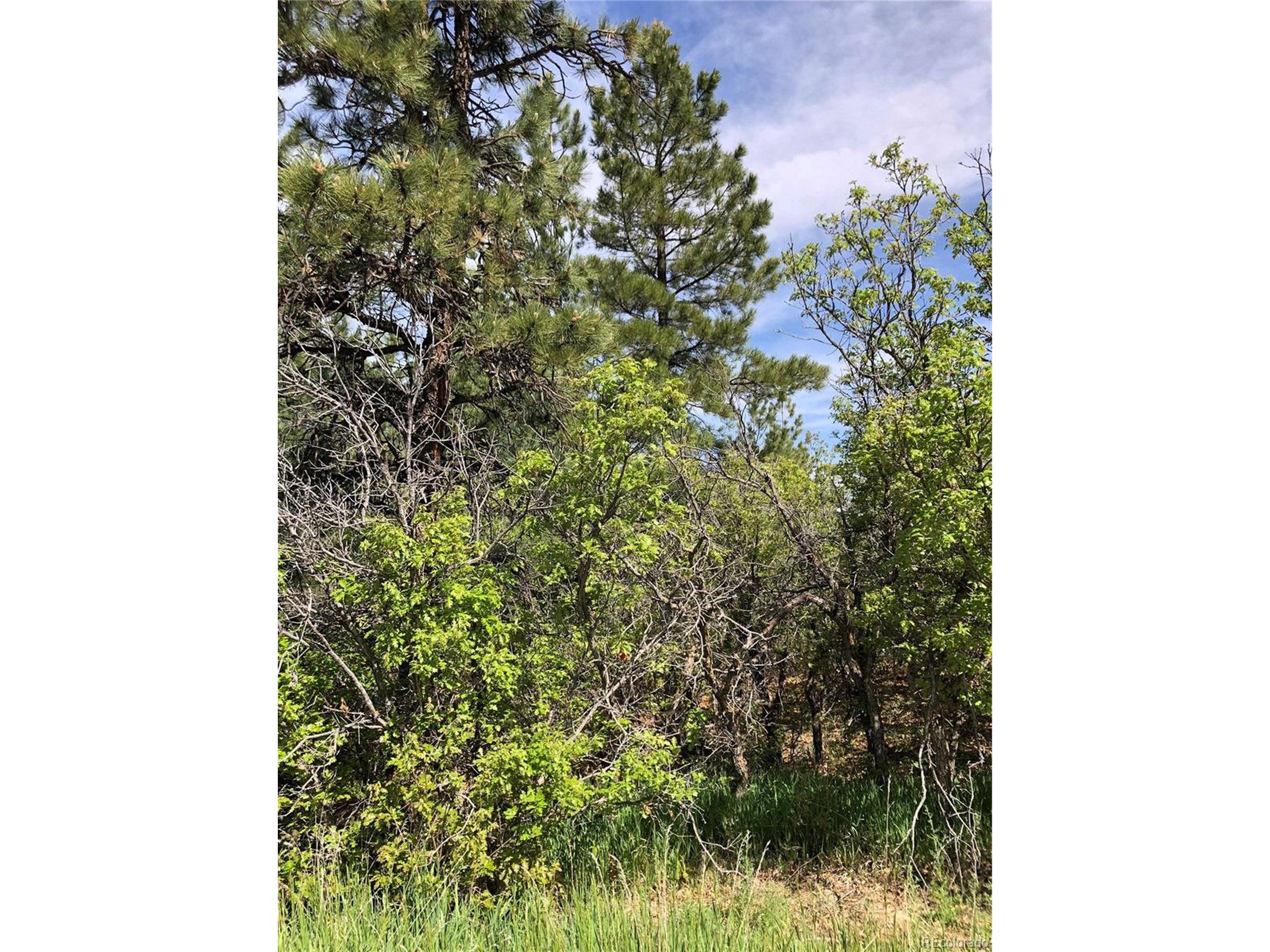 Larkspur, CO 80118,2207 Senecio Dr