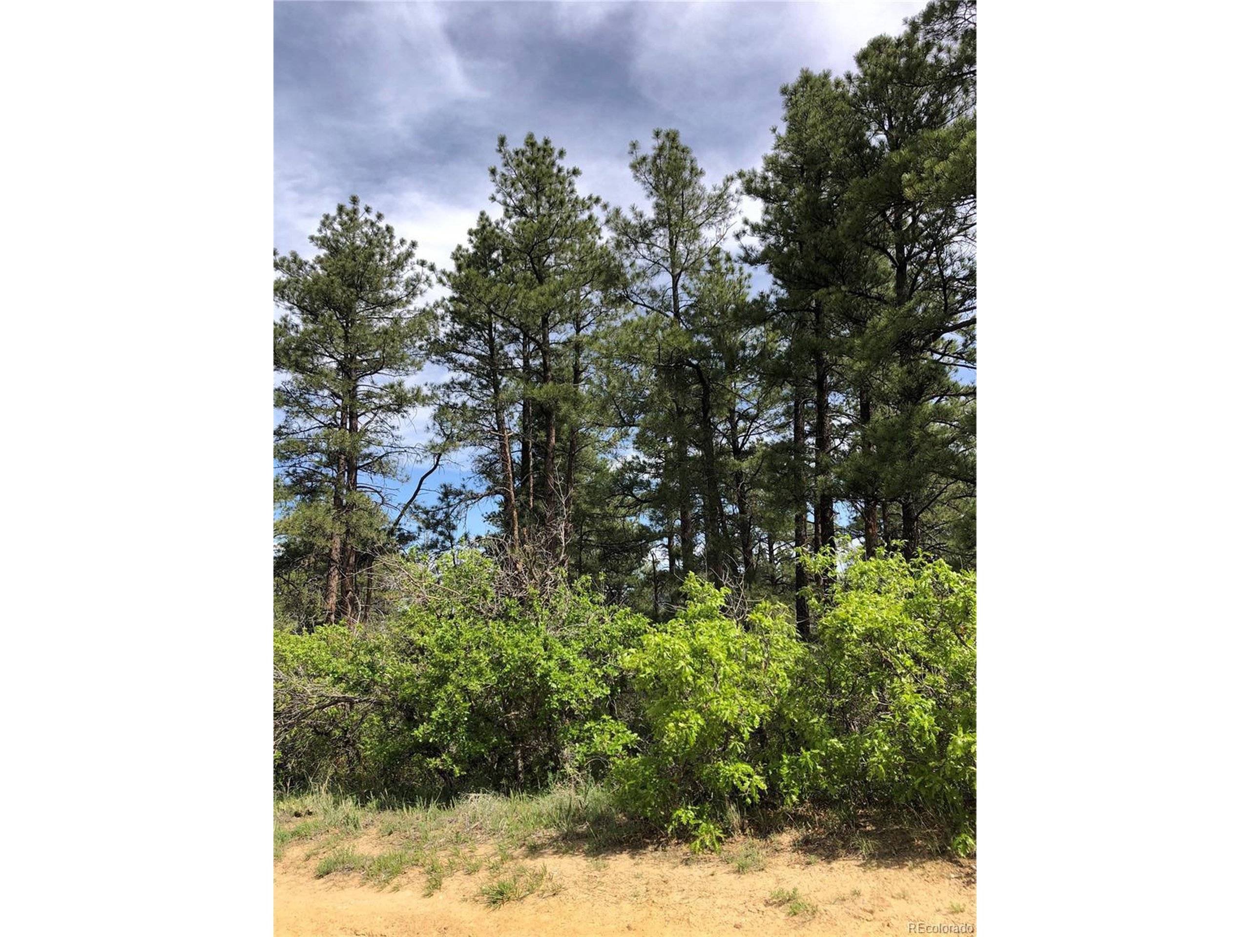 Larkspur, CO 80118,2207 Senecio Dr