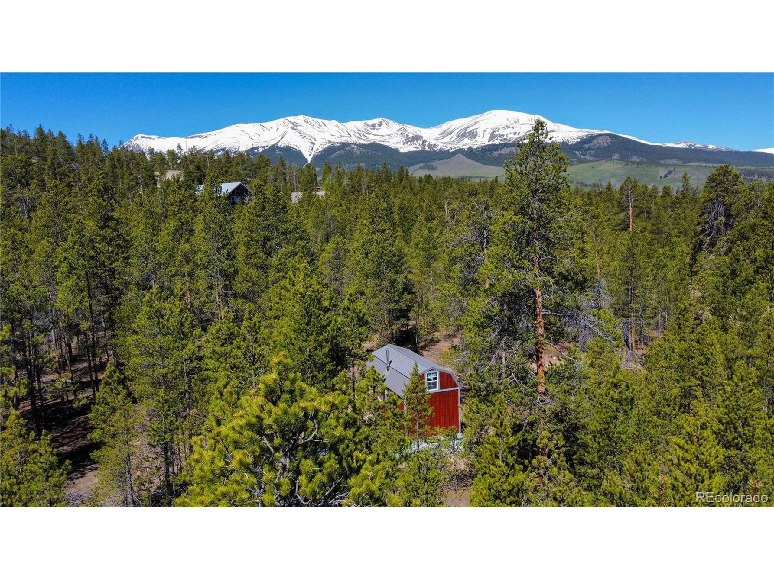 Twin Lakes, CO 81251,852 Birch Dr