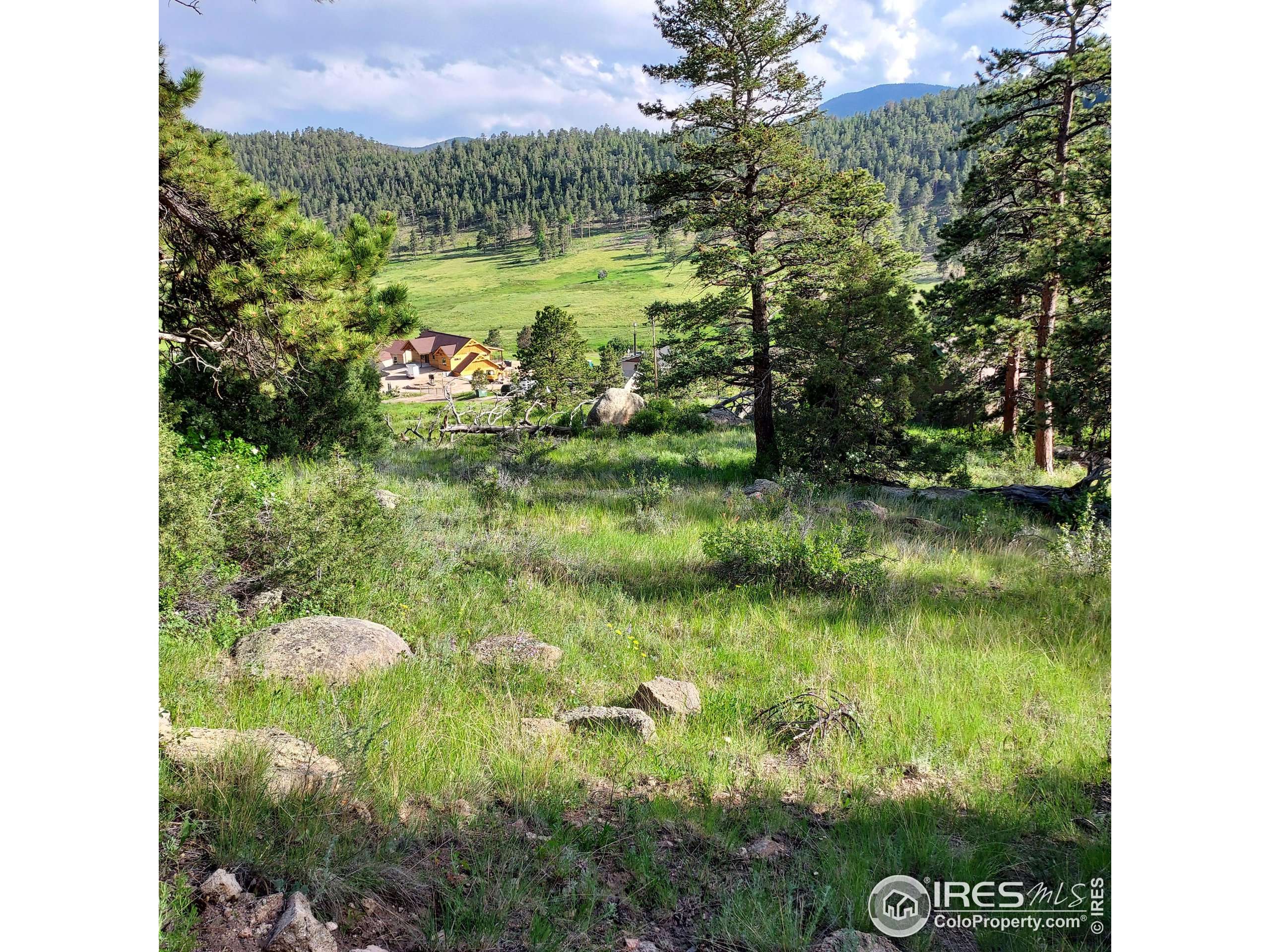 Estes Park, CO 80517,256 Pinyon Trl