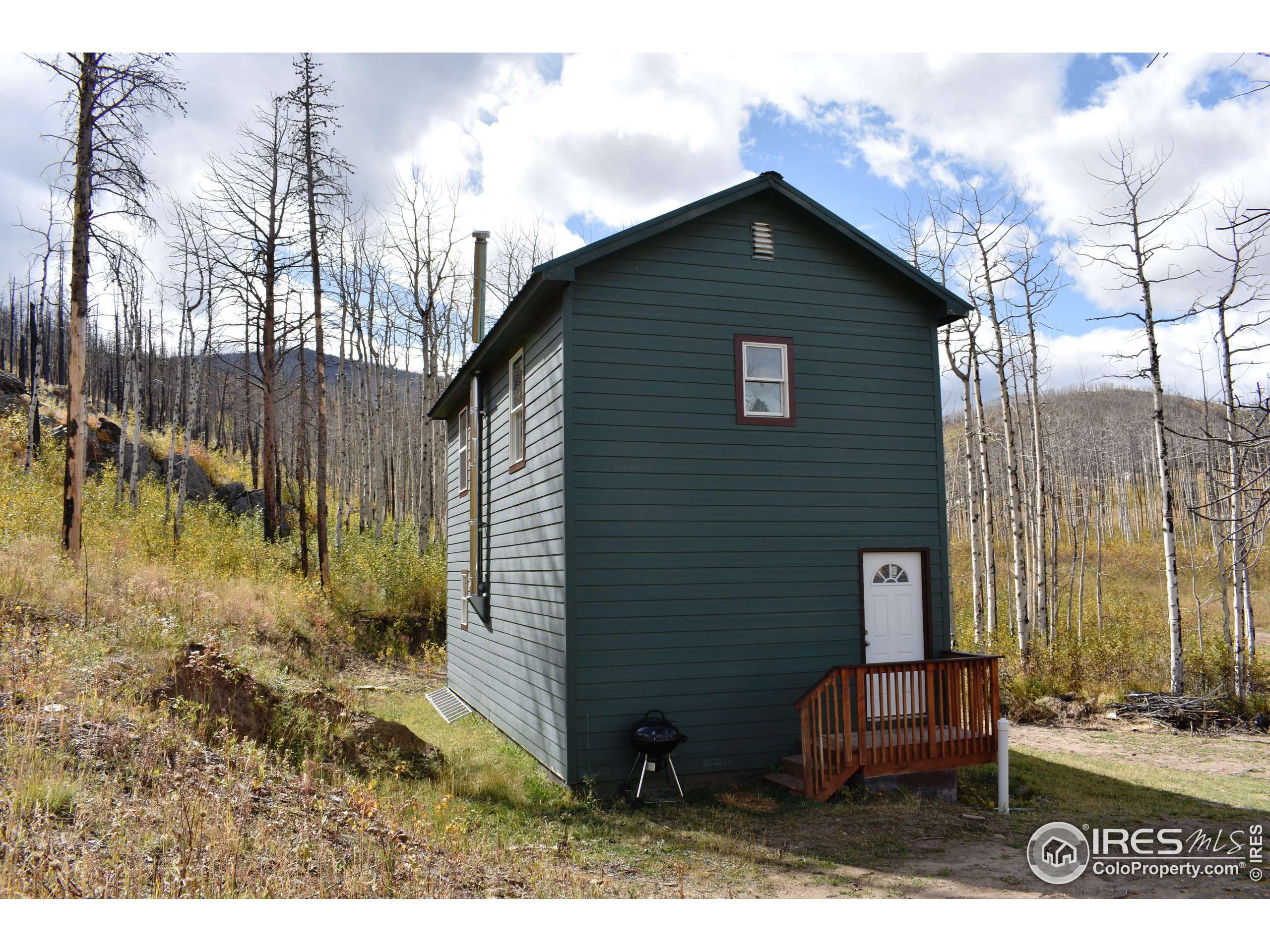 Bellvue, CO 80512,500 Powder Horn Trl