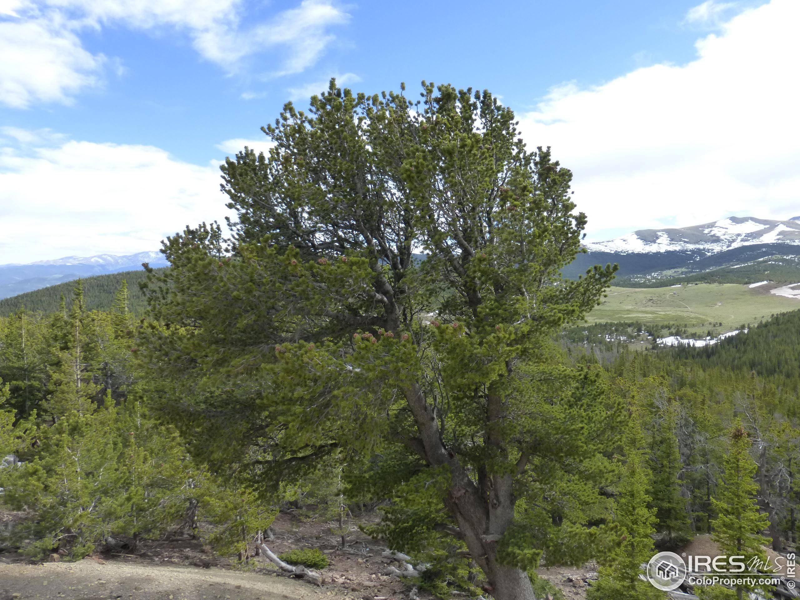 Black Hawk, CO 80422,1000 American City Rd