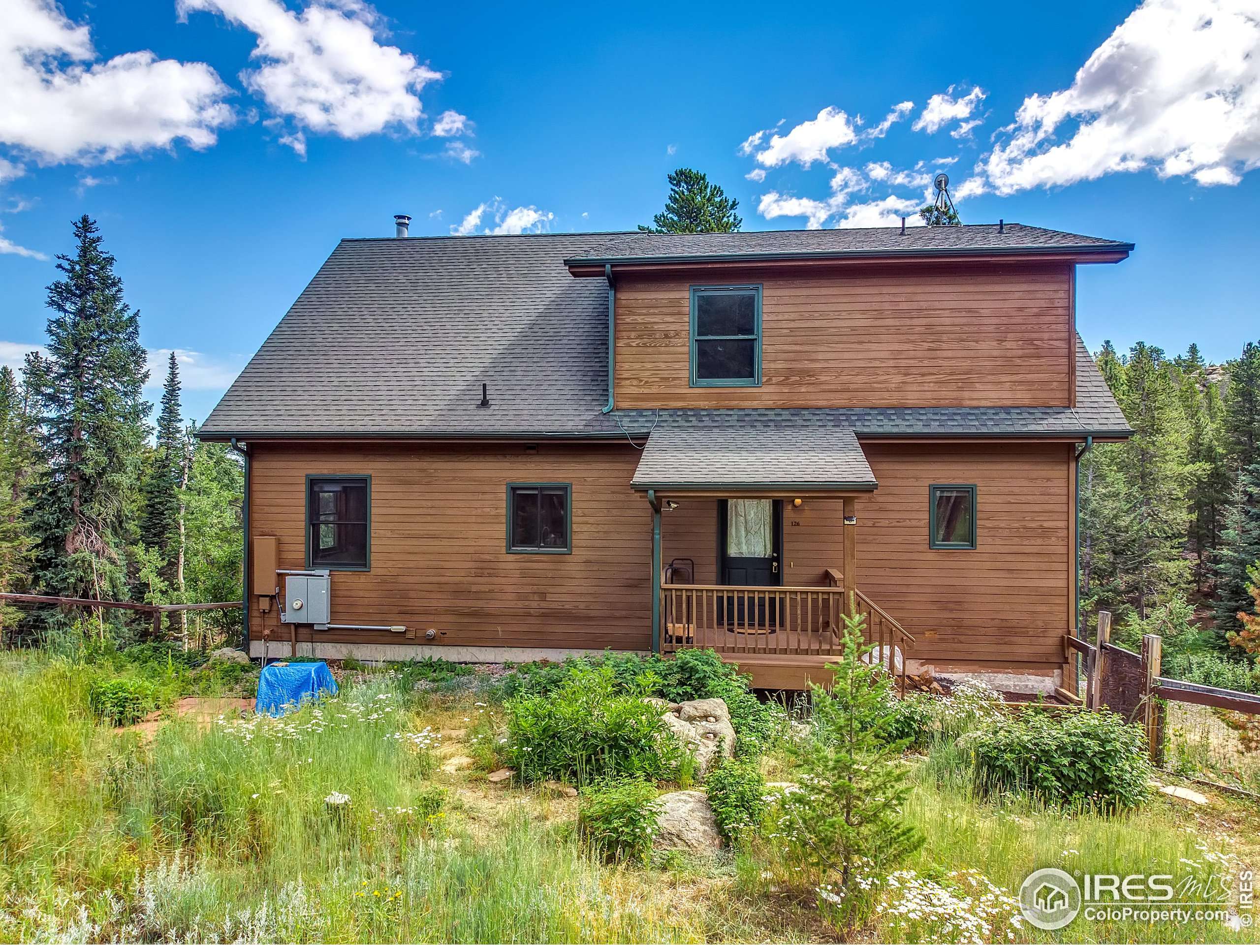 Ward, CO 80481,126 Saint Vrain Trl