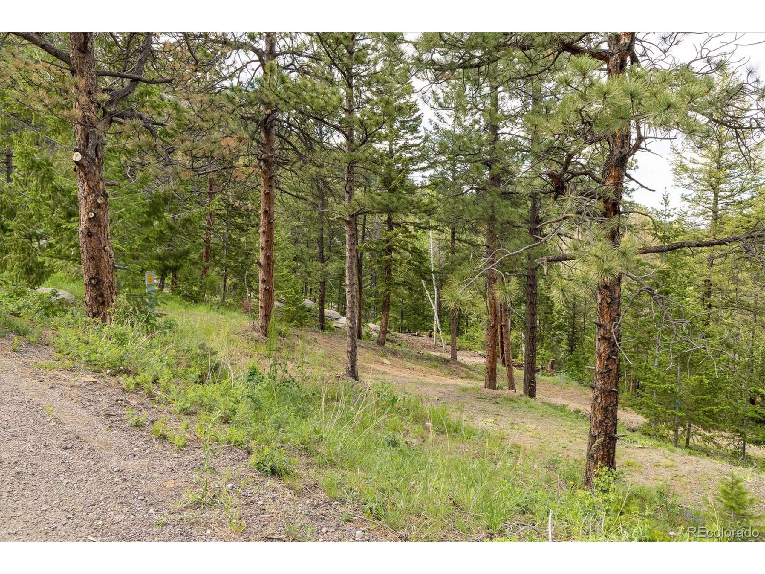 Golden, CO 80403,31429 Burke Rd