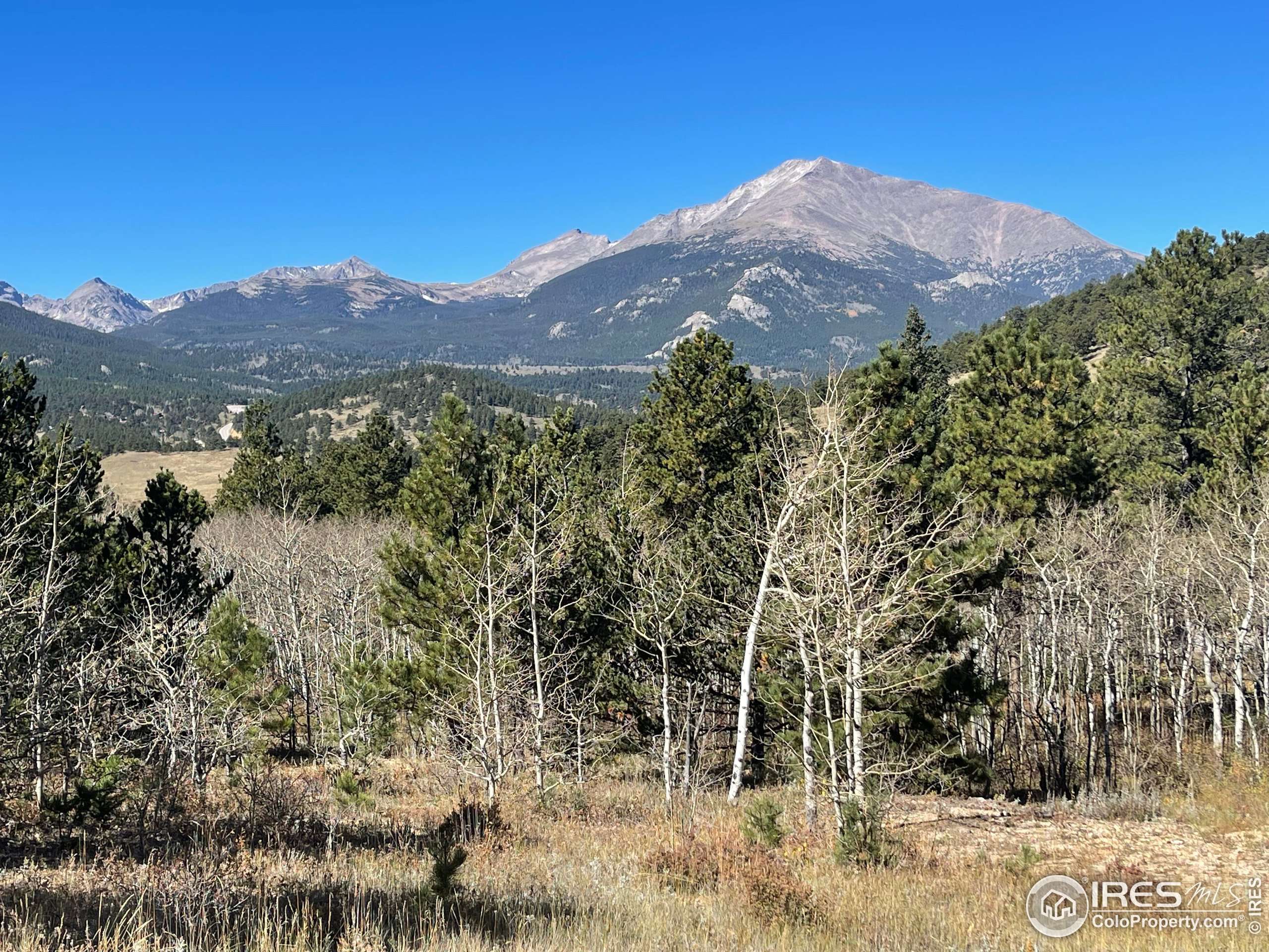 Allenspark, CO 80510,16744 Peak to Peak Hwy