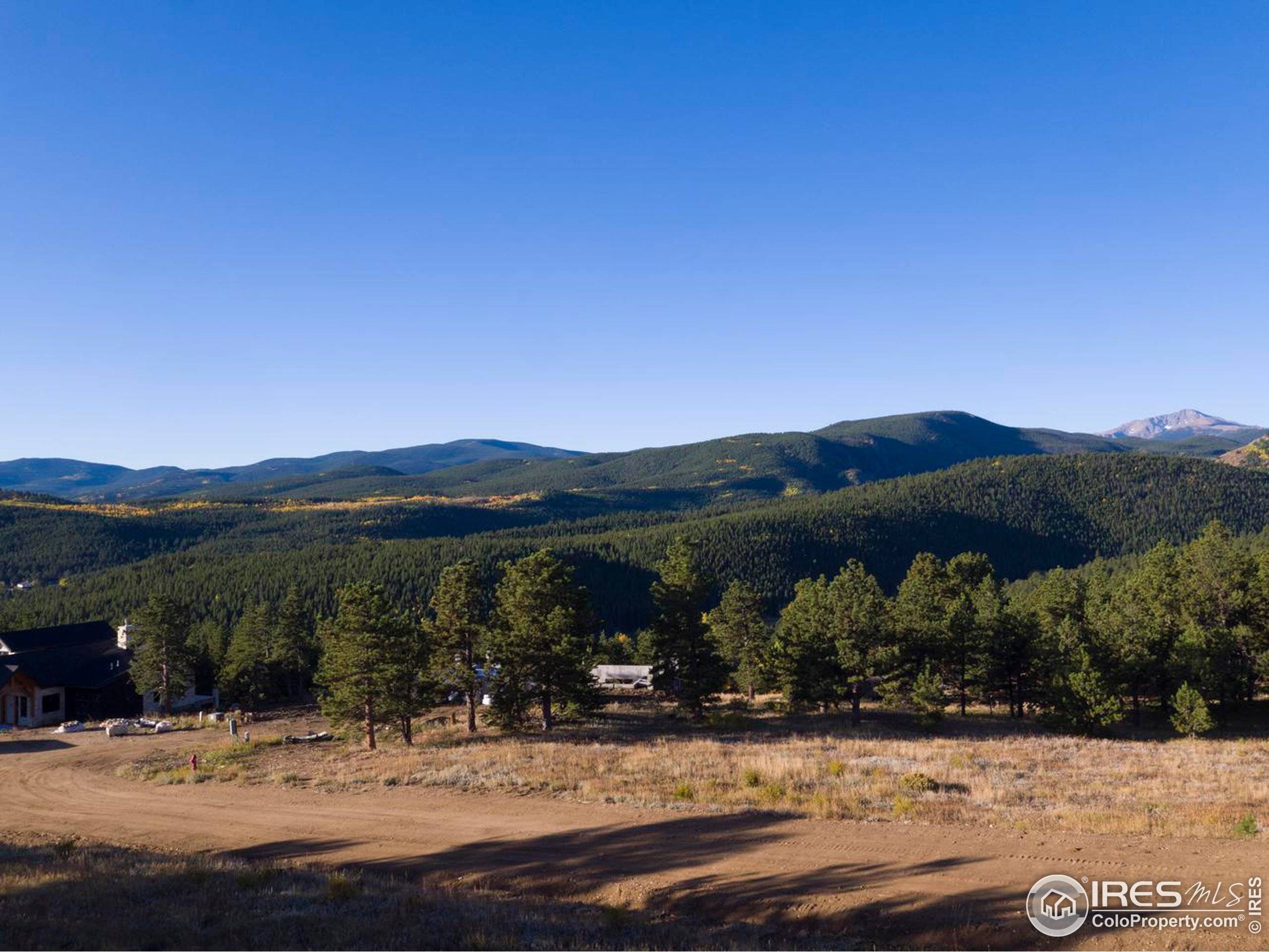 Nederland, CO 80466,4 Caribou Ridge Dr