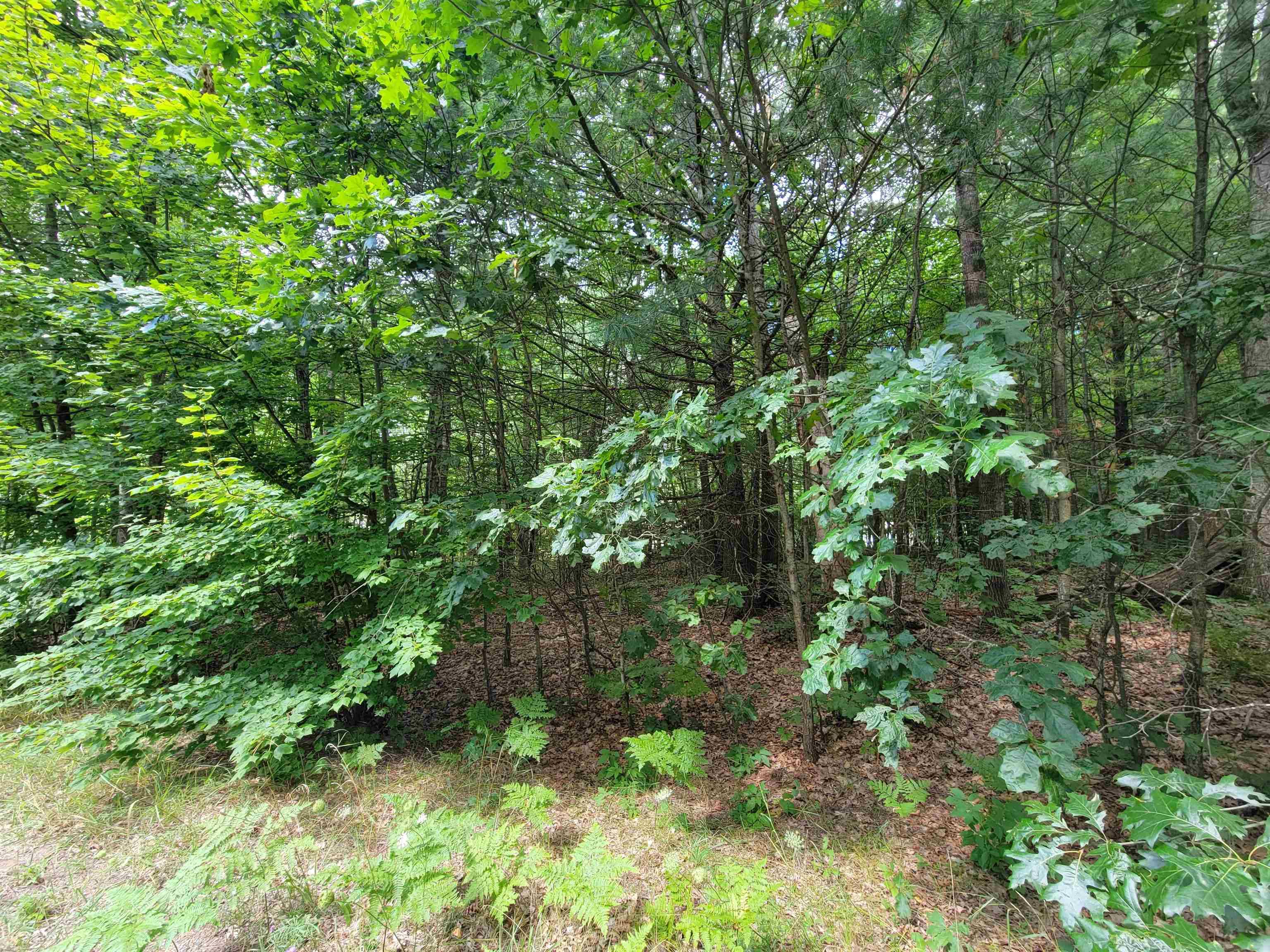 Houghton Lake, MI 48629,Lot 533 Winding Drive