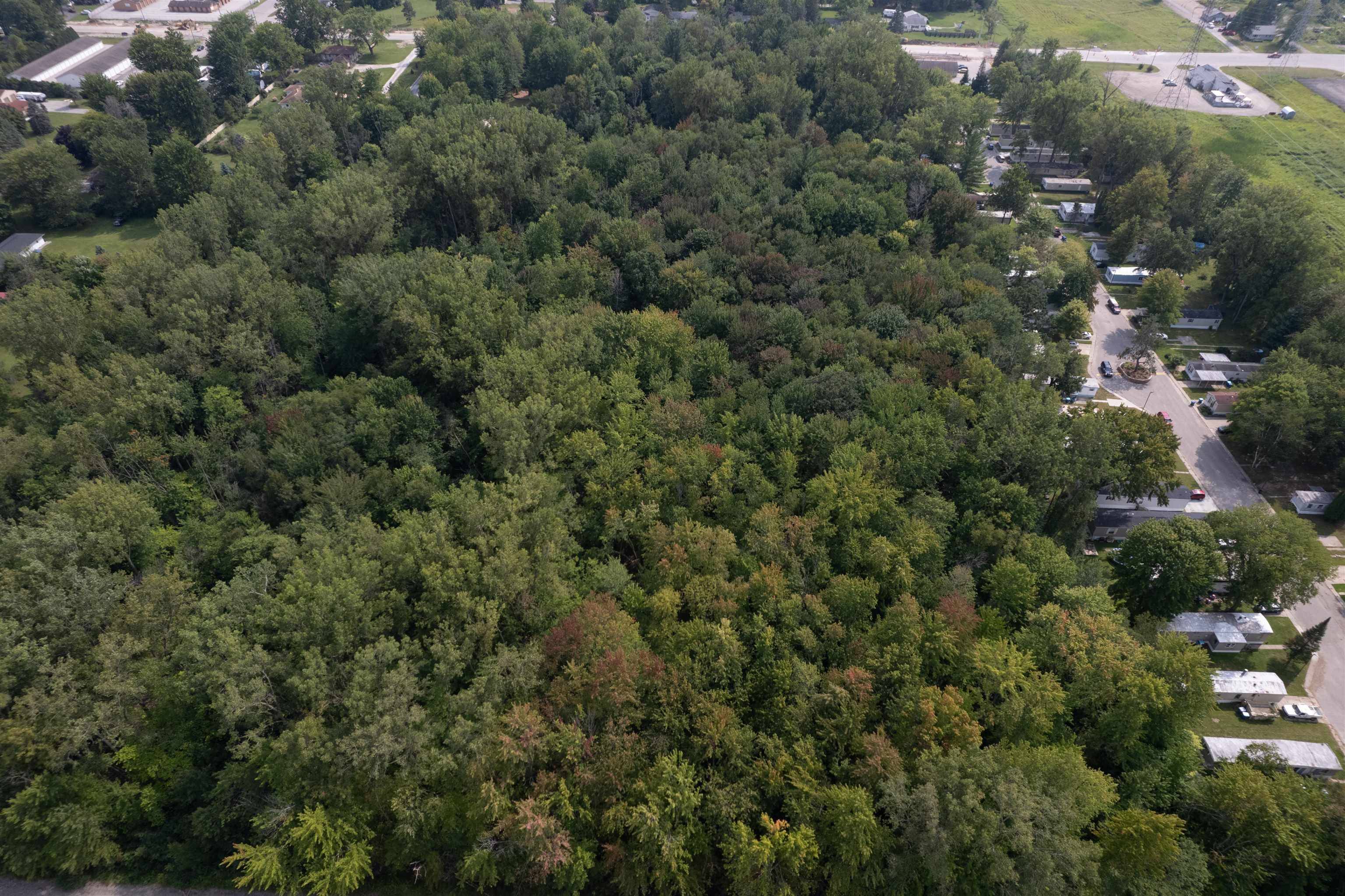 Midland, MI 48642,W Midland Road