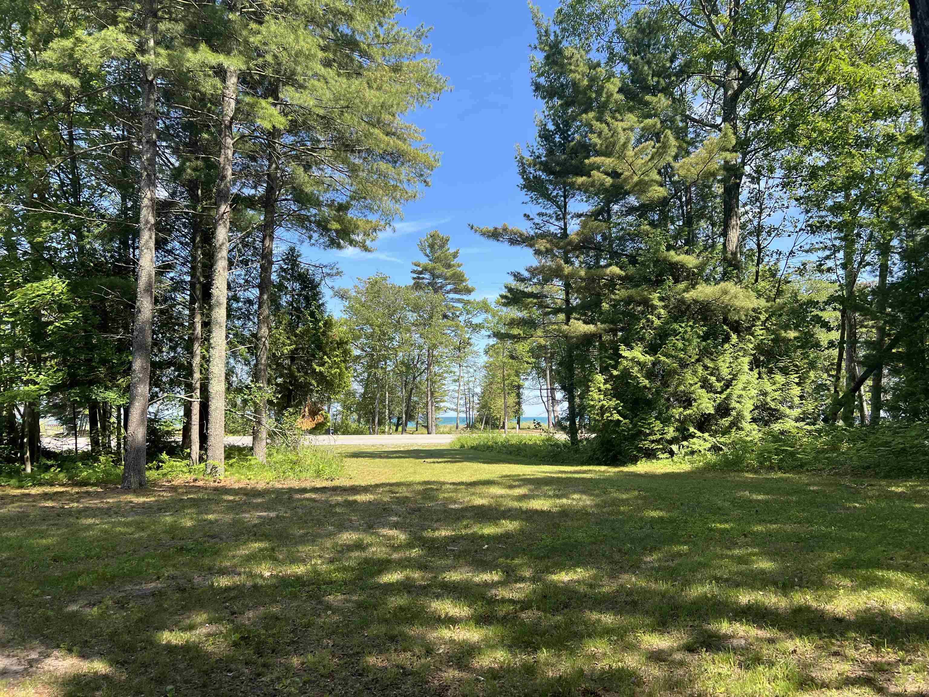 Oscoda, MI 48750-9999,N US-23 Street