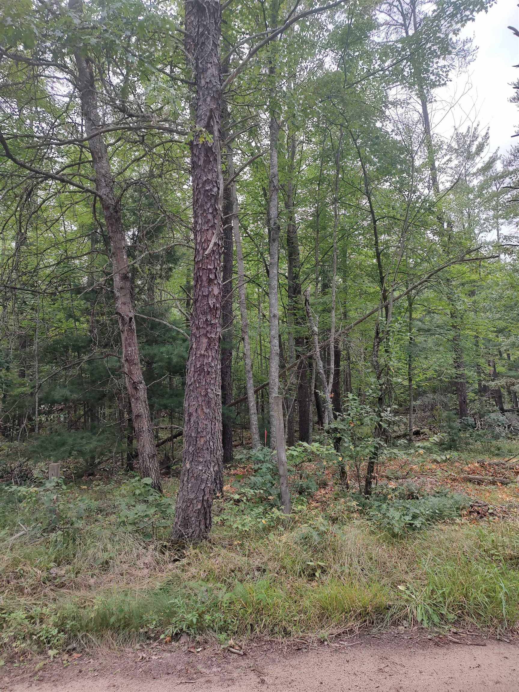 Roscommon, MI 48653,0 Deckers Road
