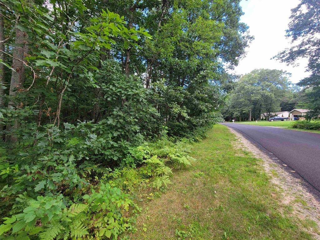 Houghton Lake, MI 48629,Lot 541 Winding Drive