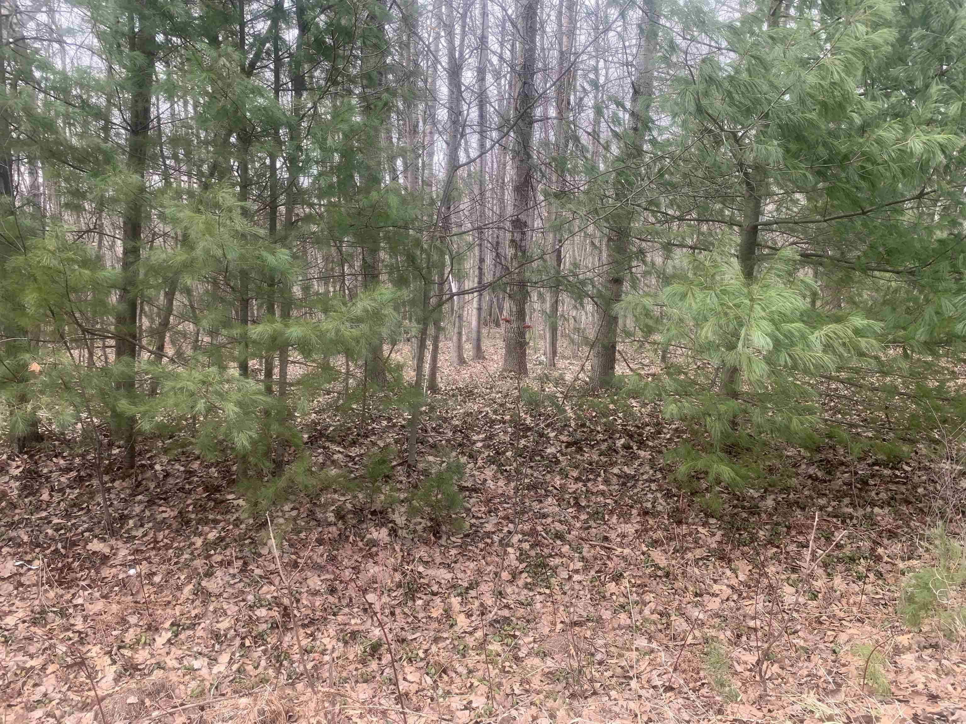 Gladwin, MI 48624,xxx Rivers Terrace Drive