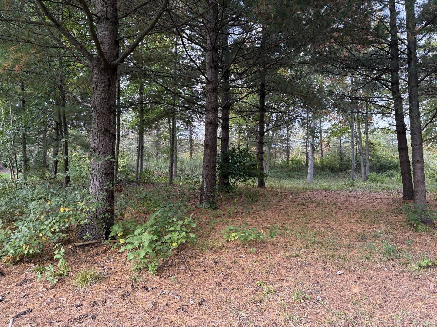 Midland, MI 48642,6210 Evergreen Court