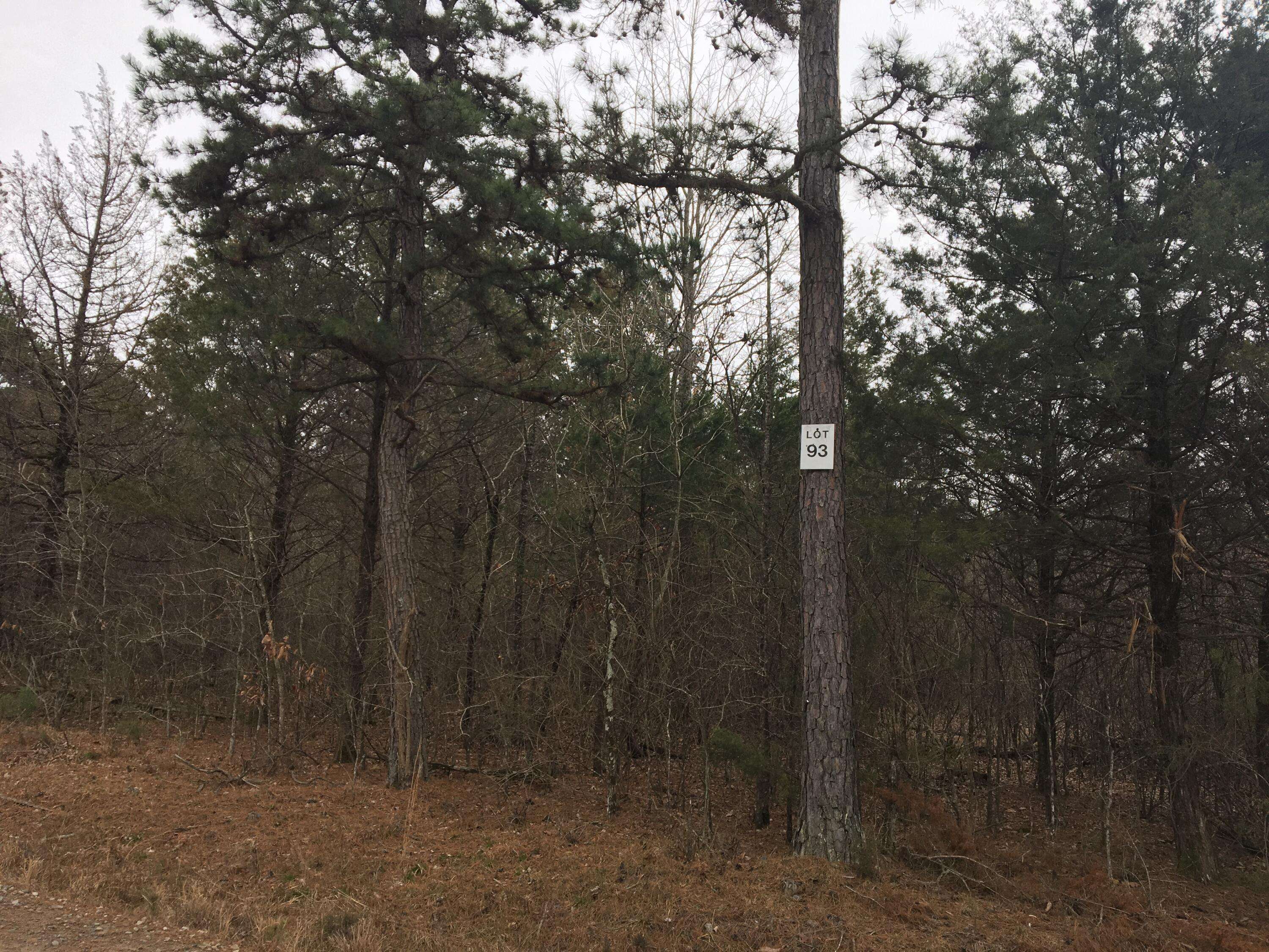 London, AR 72847,Multiple Eagles Nest Lots