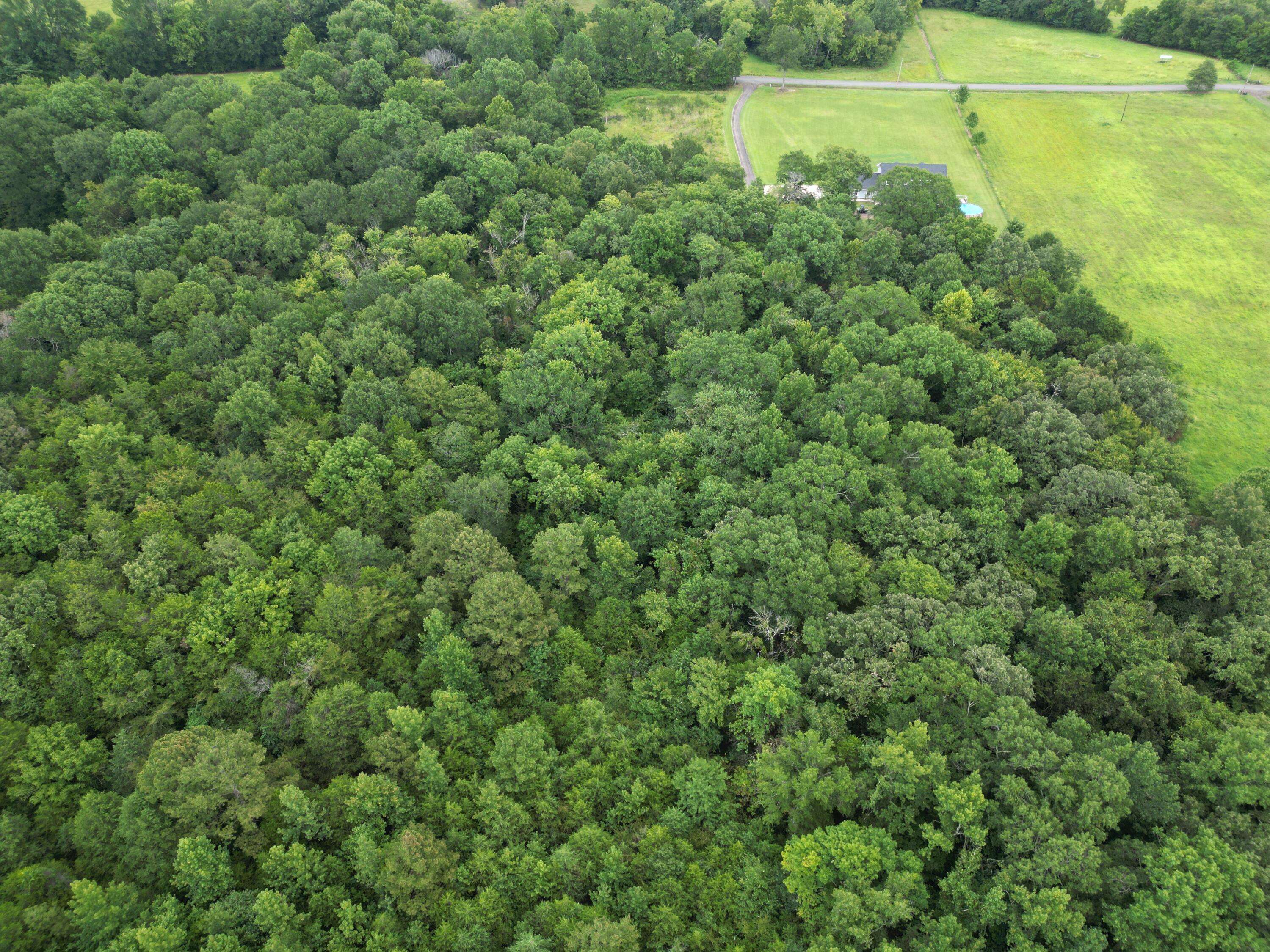 Atkins, AR 72823,TBD Reed Loop