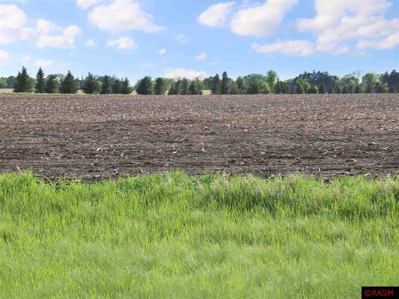 Le Sueur, MN 56058,35926 Sharon Prairie Drive