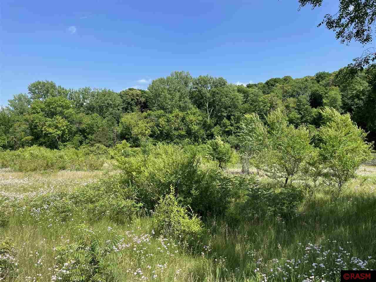 Good Thunder, MN 56037,TBD Wilderness Way