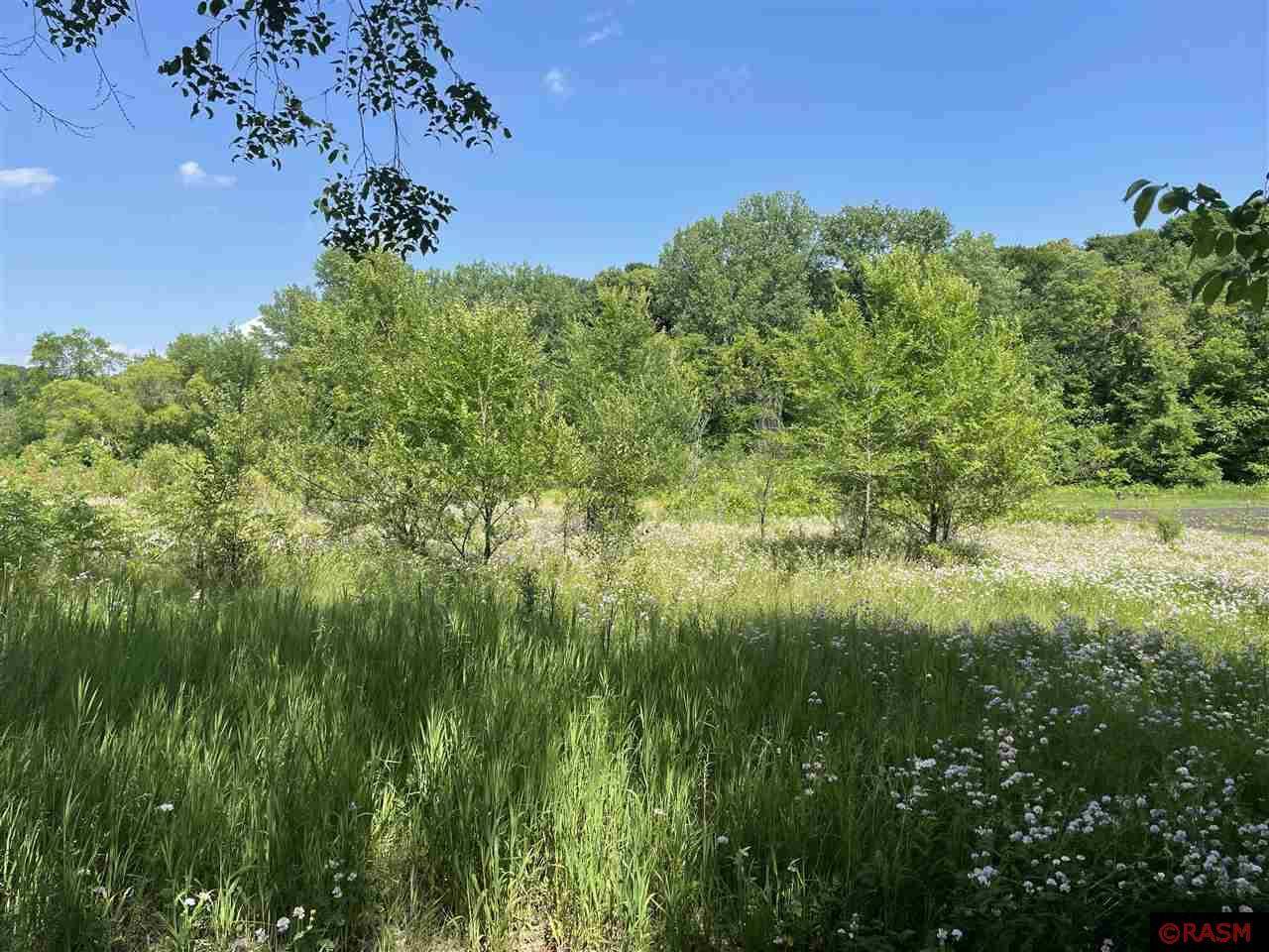 Good Thunder, MN 56037,TBD Wilderness Way