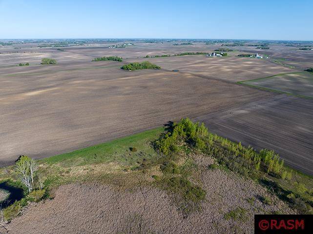 Brownton, MN 55312,Parcel 2 100th Street