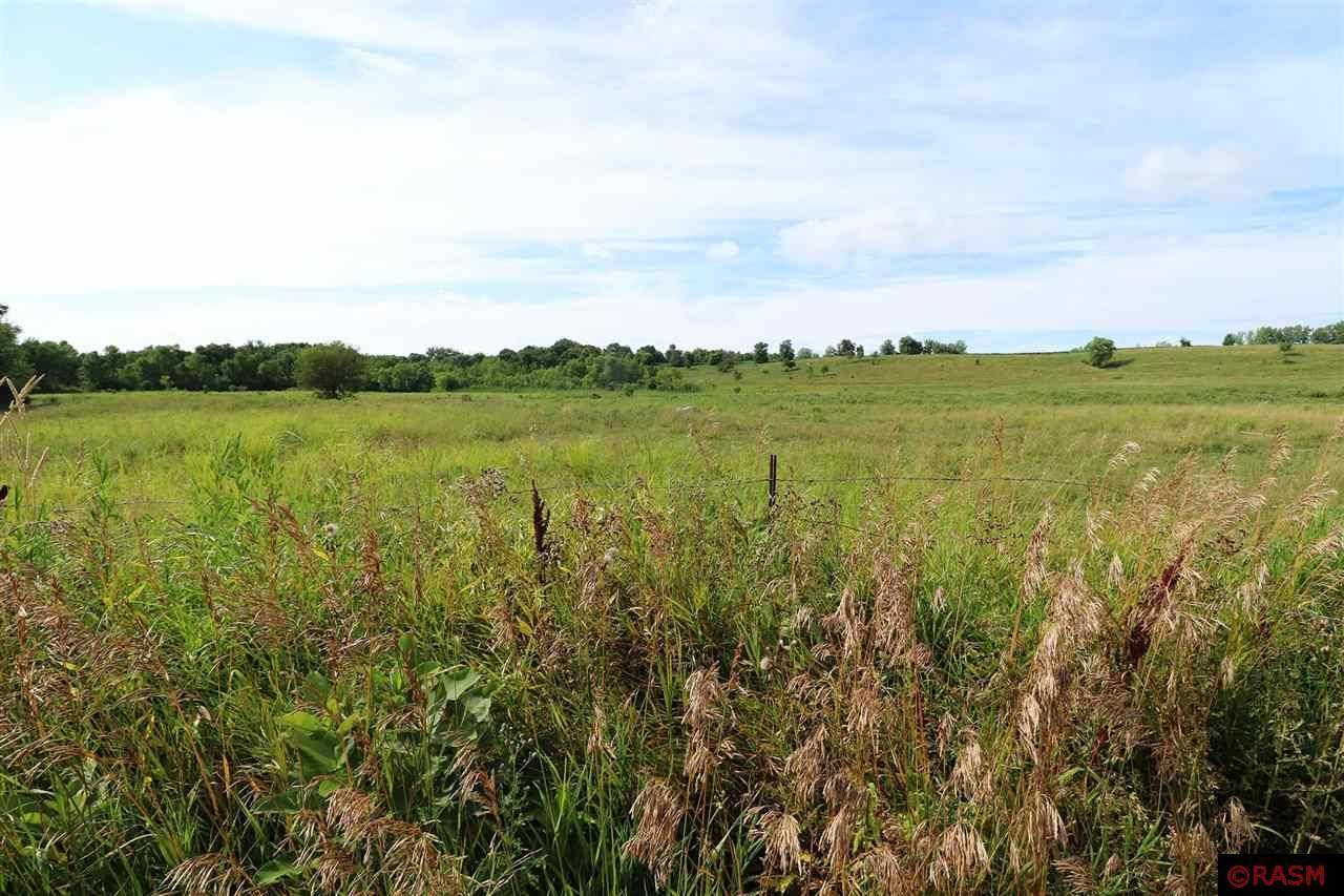 Courtland, MN 56021,5XX RED SHOE DR Drive