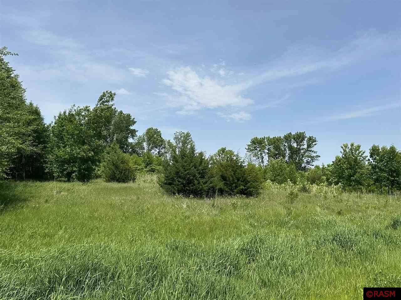 Madison Lake, MN 56063,29036 Biehn Drive