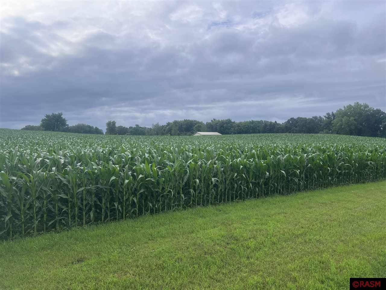 Cleveland, MN 56017,tbd 247TH Avenue