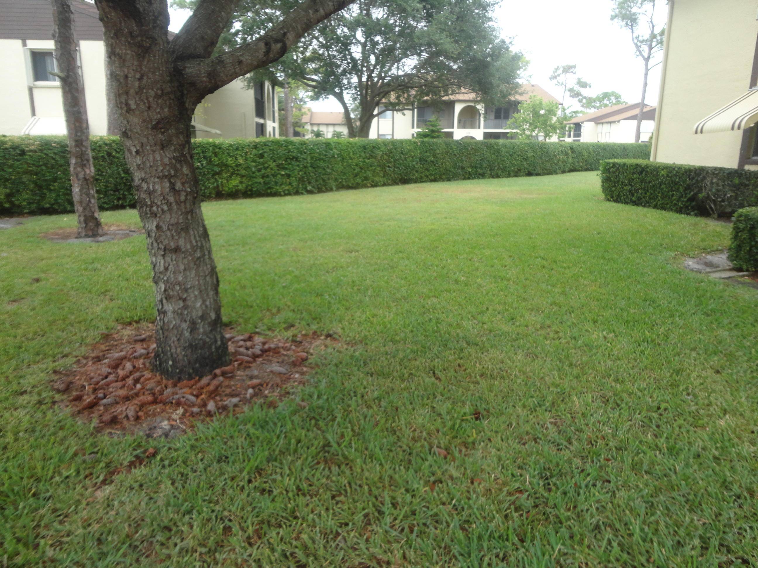 Greenacres, FL 33463,235 Pine Hov CIR A-1