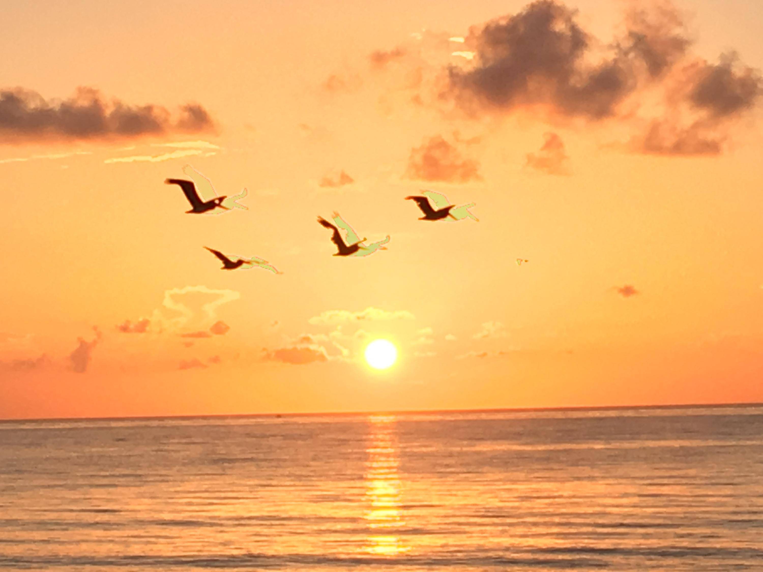 Briny Breezes, FL 33435,208 Cardinal DR C