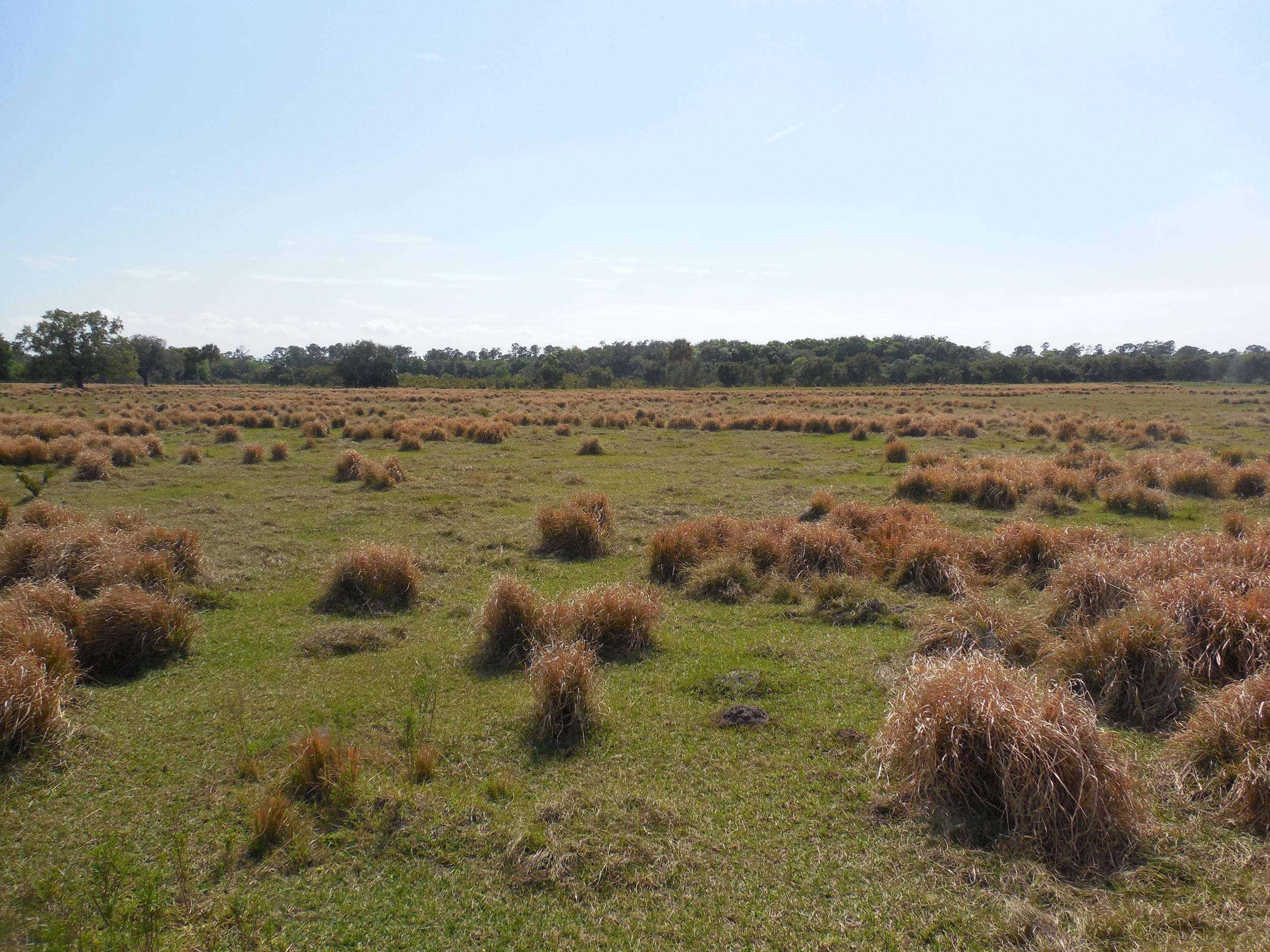 Okeechobee, FL 34974,25752 SW Hannahs PATH