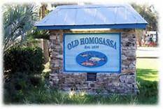 Homosassa, FL 34448,10207 W Brocade ST