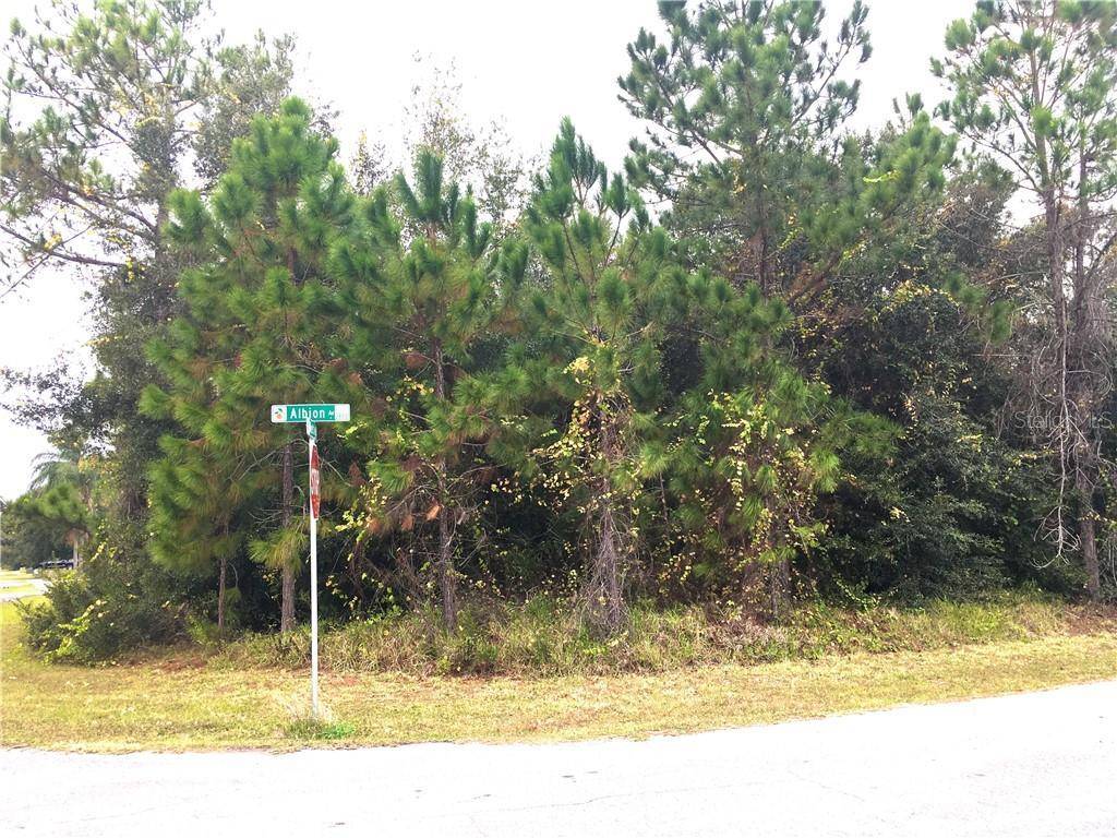 Orlando, FL 32833,Tbd Nettleton ST